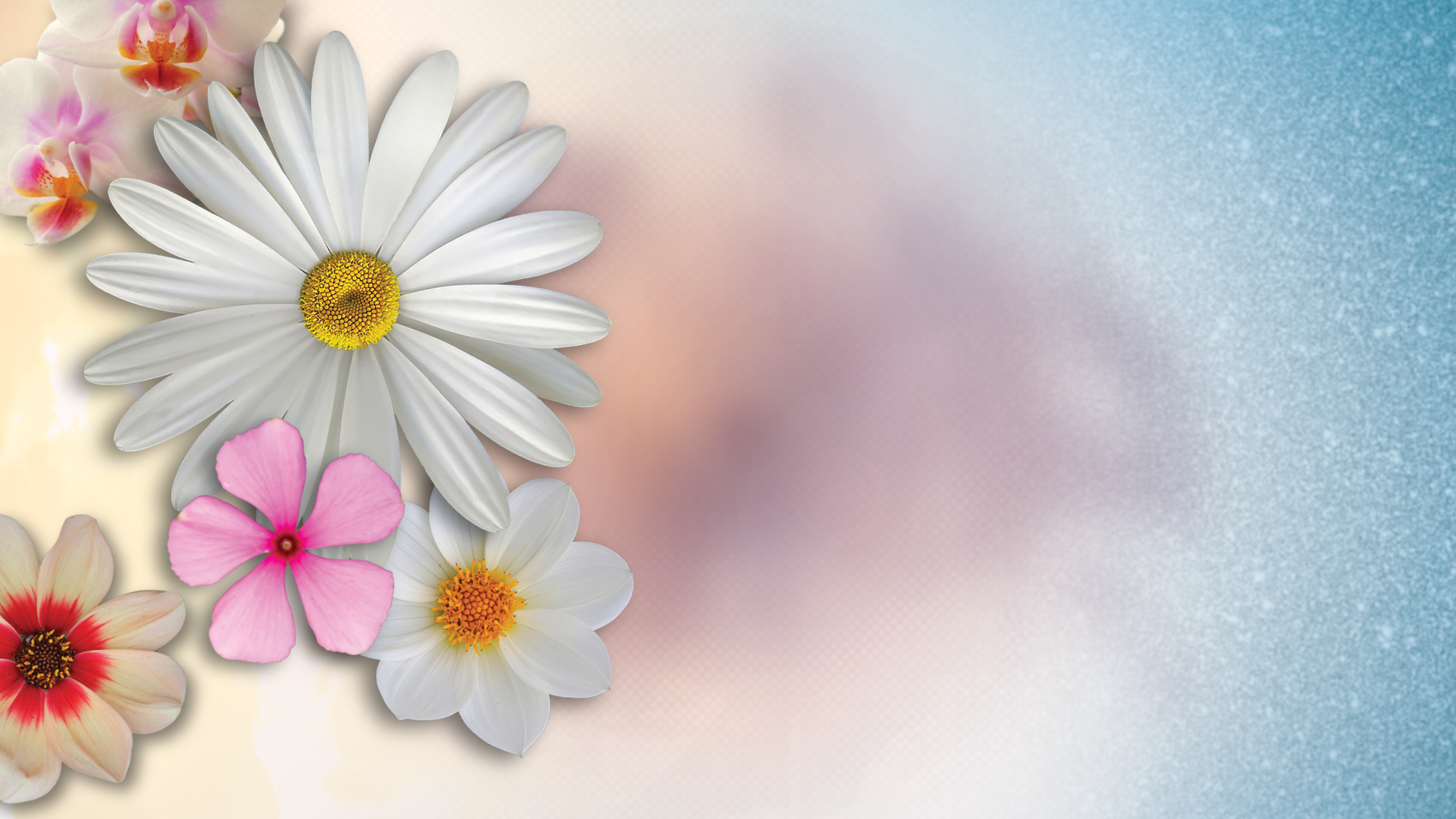 Floral Festival Graphics