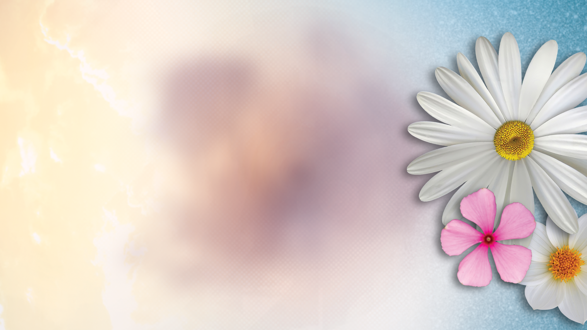 Floral Festival Graphics