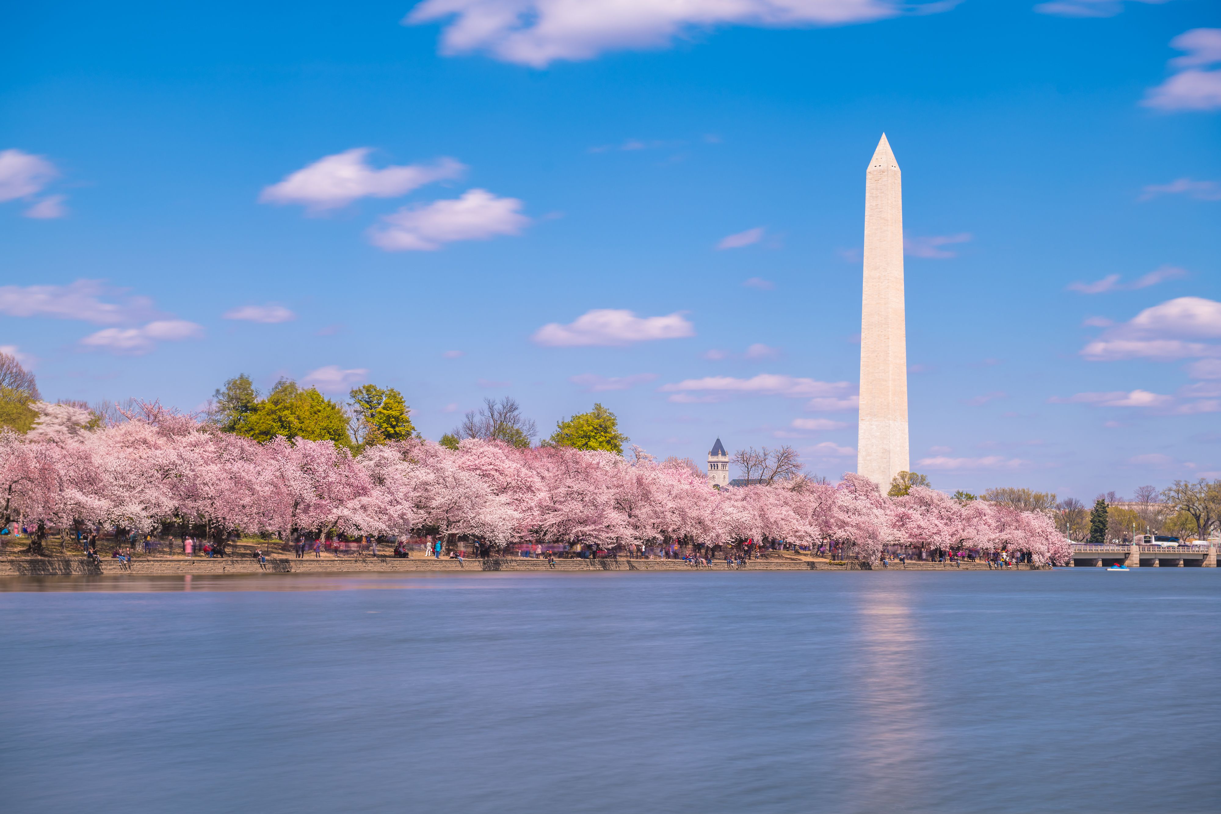 Spring Flower Festivals That Will