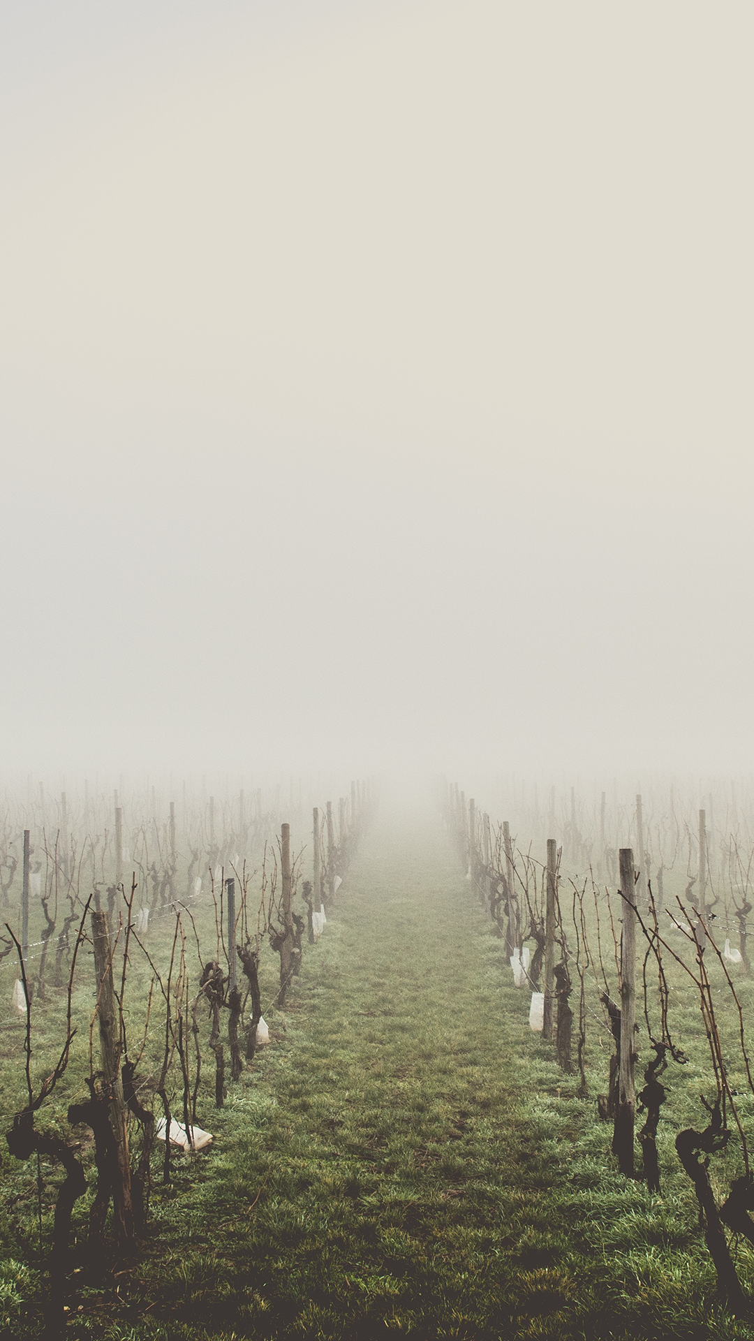 Country Wallpaper for Phone