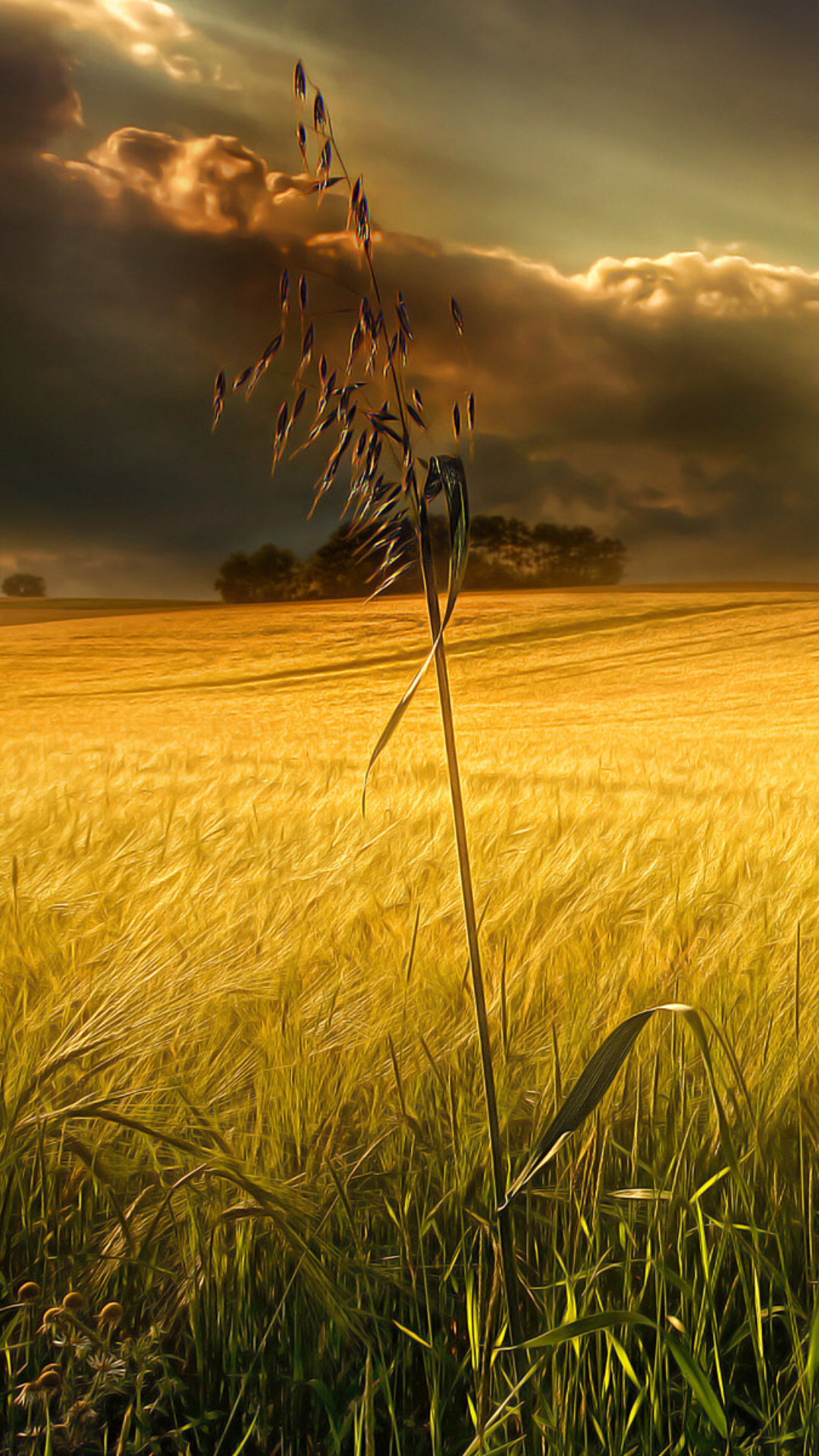Country Phone Wallpapers Wallpaper Cave