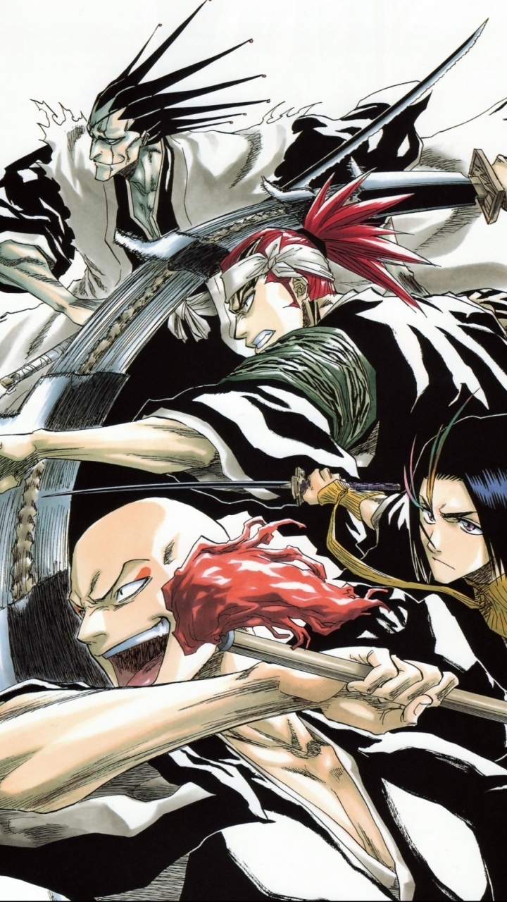 Anime Bleach, Ikkaku Madarame, Kenpachi