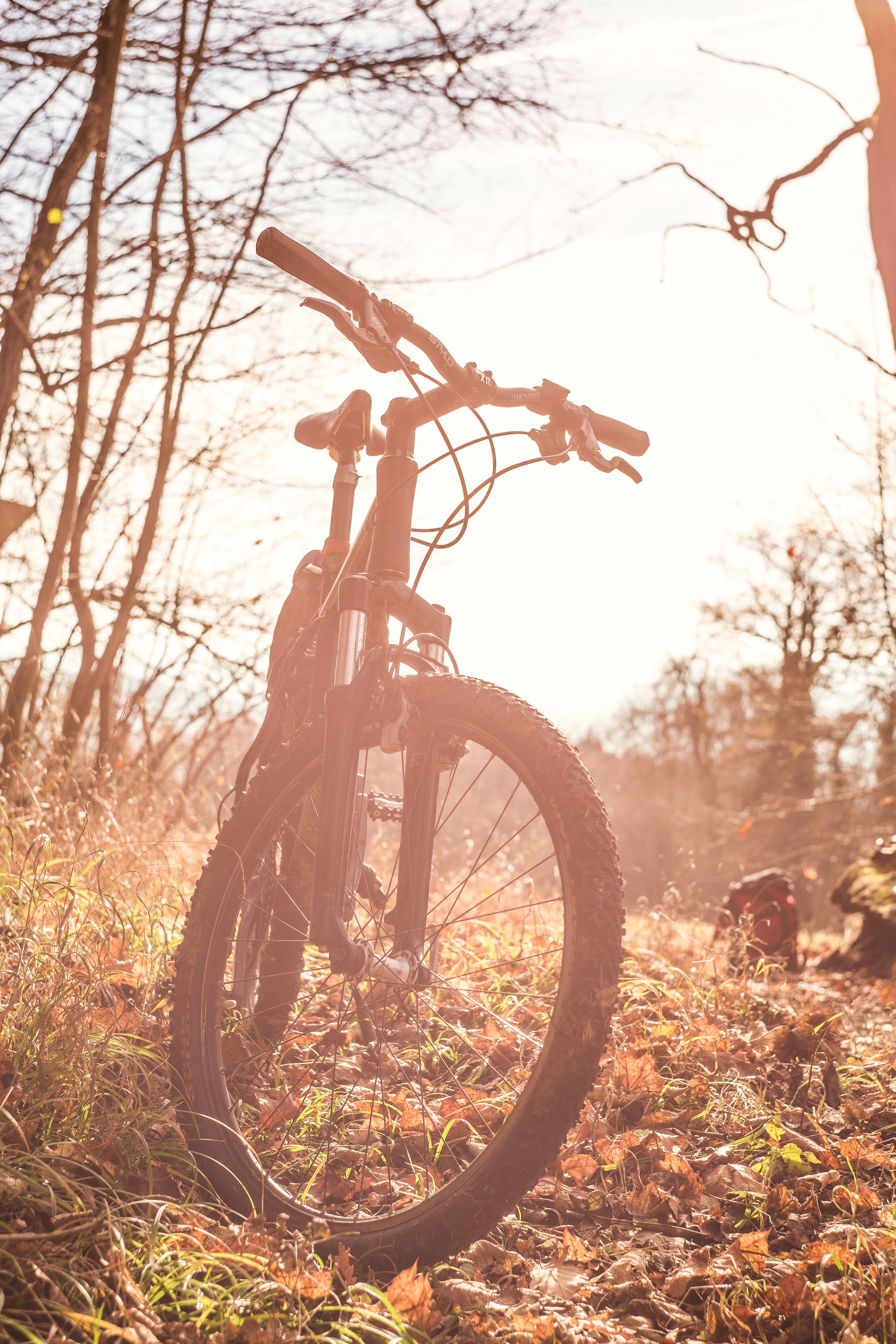 Mountain Bike Photo, Download The BEST
