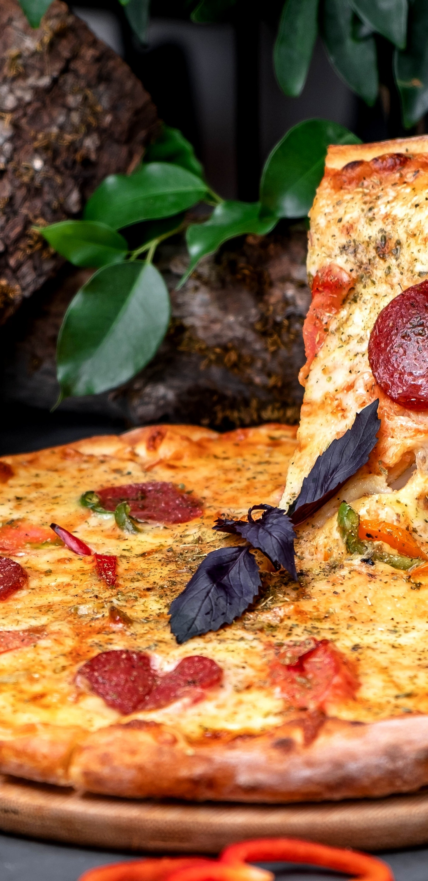 Download wallpaper 1440x2960 delicious