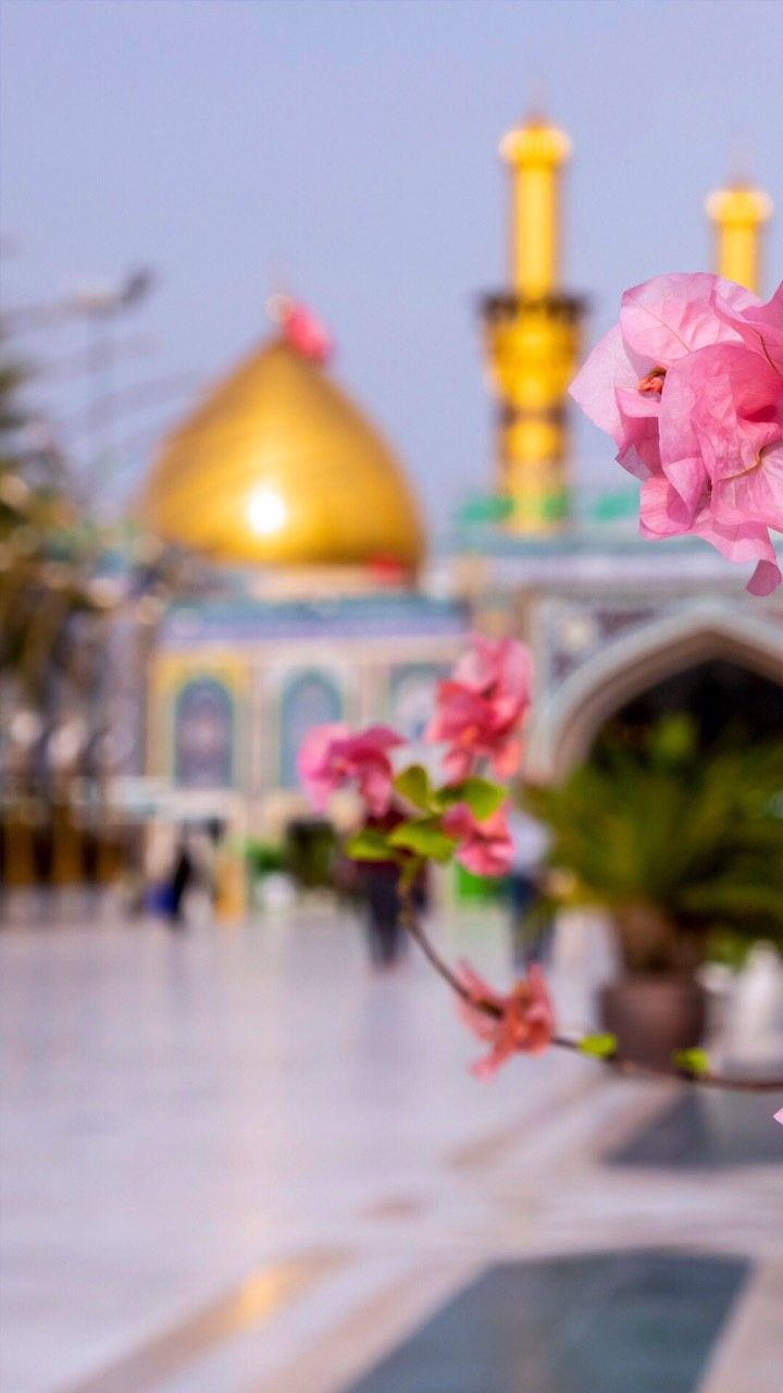 Karbala photography, Best