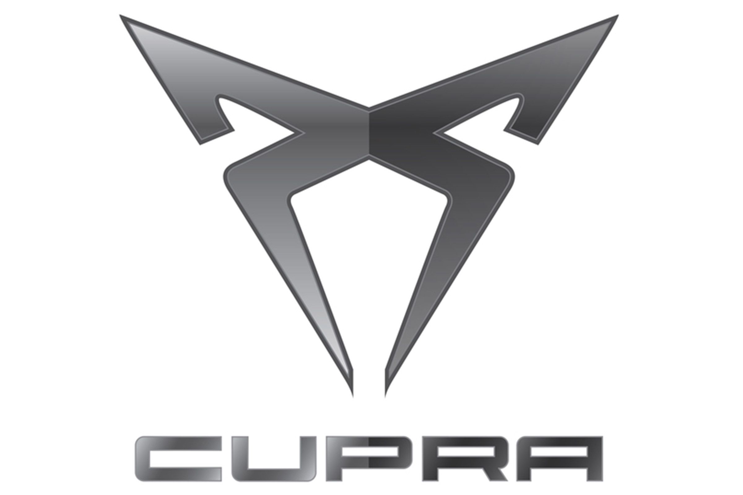 cupra, seat leon cupra tuning, cupra seat
