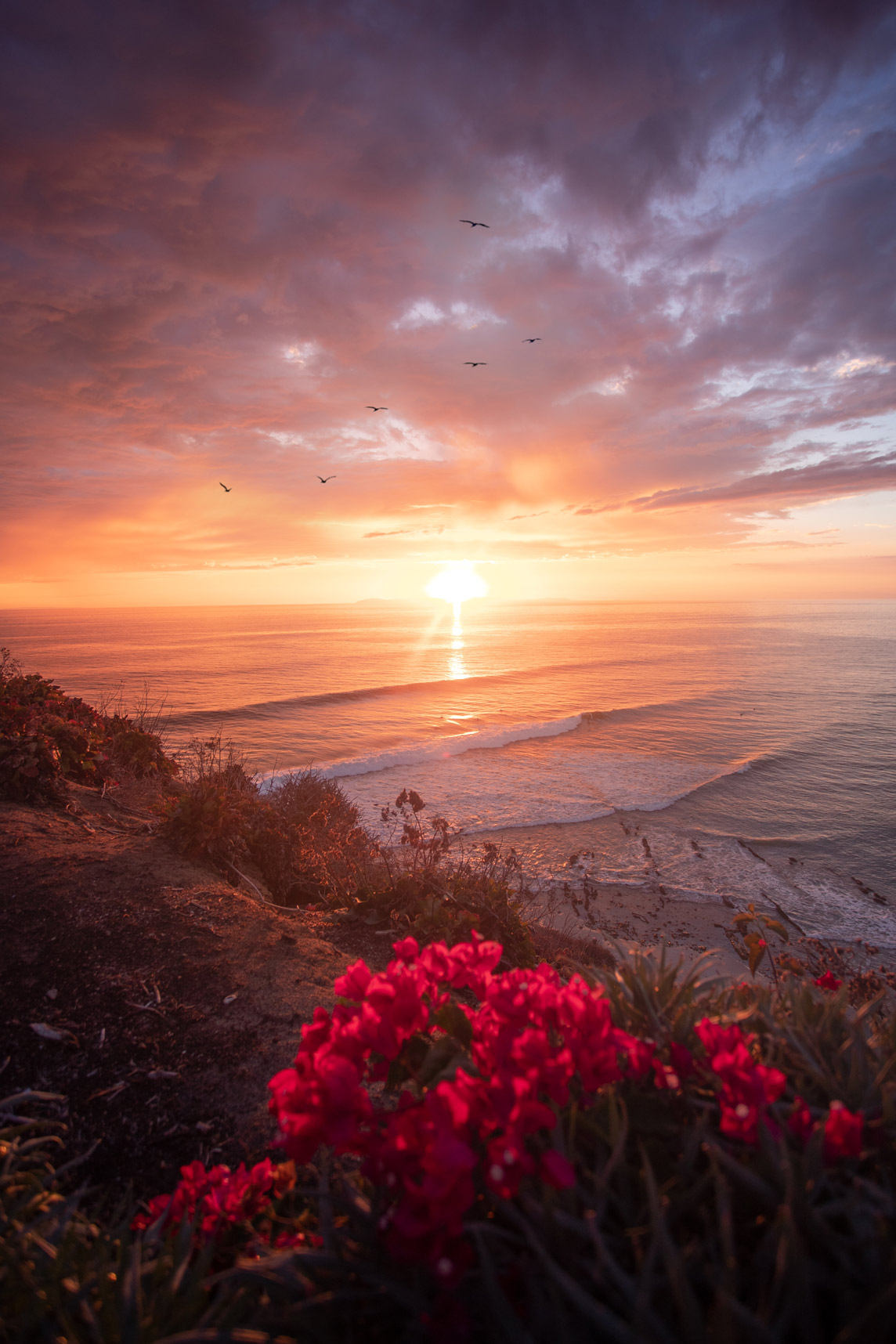 Best photo locations in Dana Point