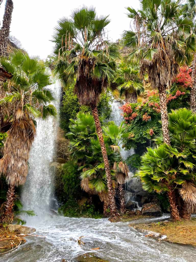 The Secret Dana Point Waterfall