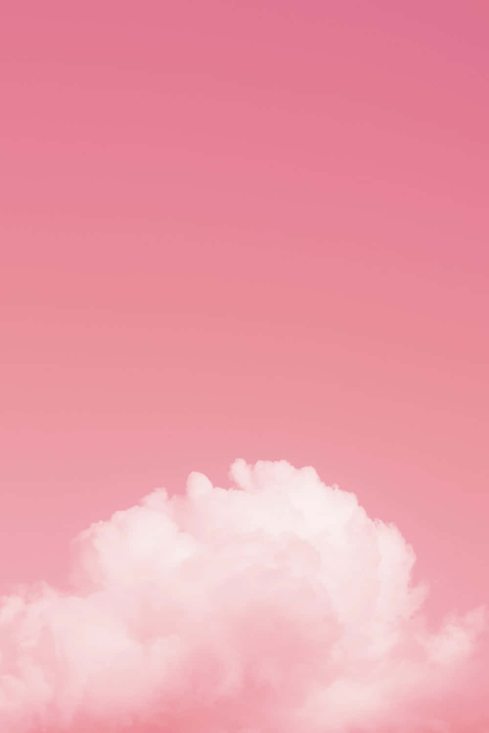 Pink Cloud Wallpaper Wallpaper