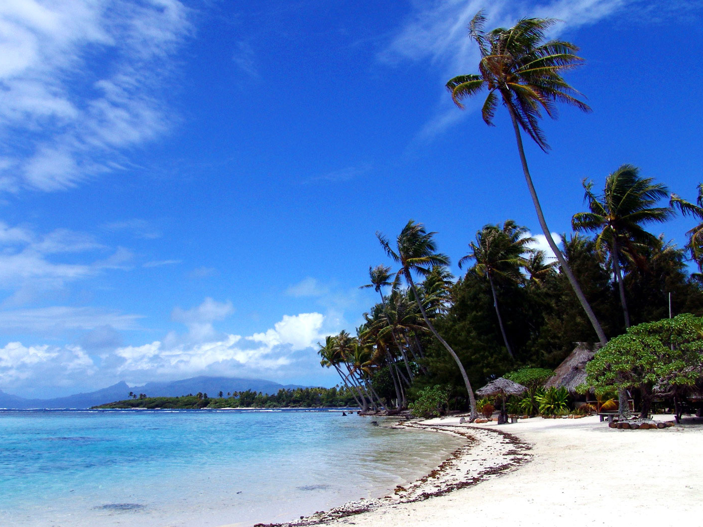 Windy Day On Tropic Beach Wallpaper