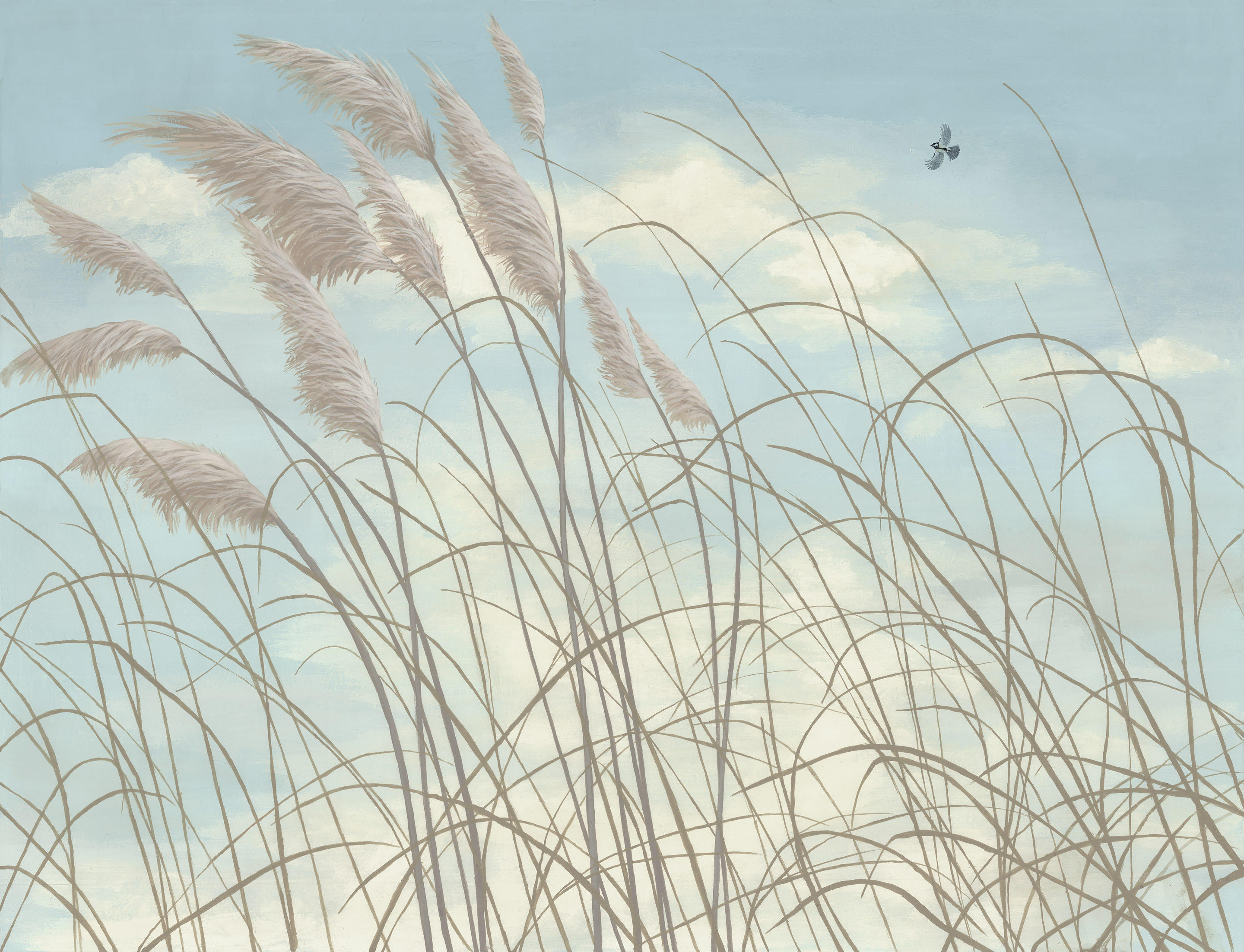 Windy Day Wallpapers - Wallpaper Cave