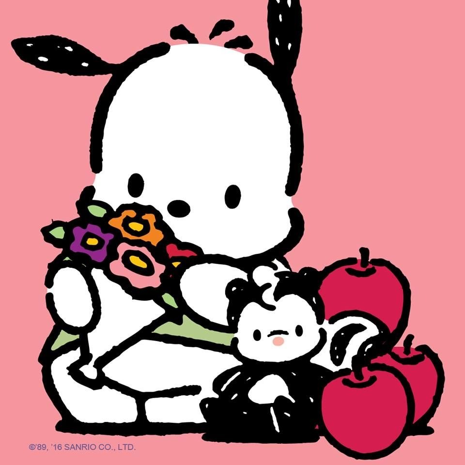 ♡サンリオ♡