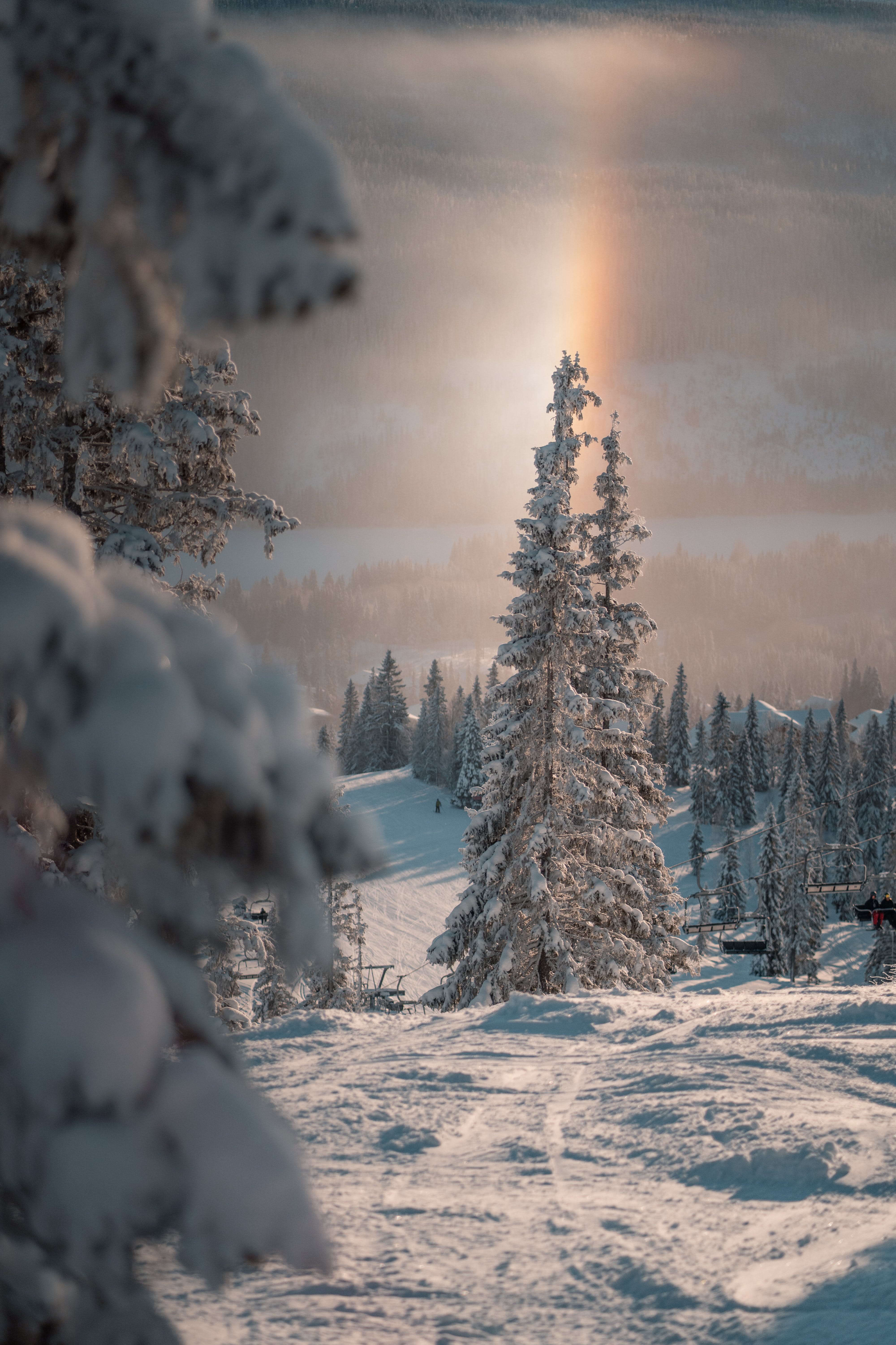Winter Scenes Photo, Download The BEST