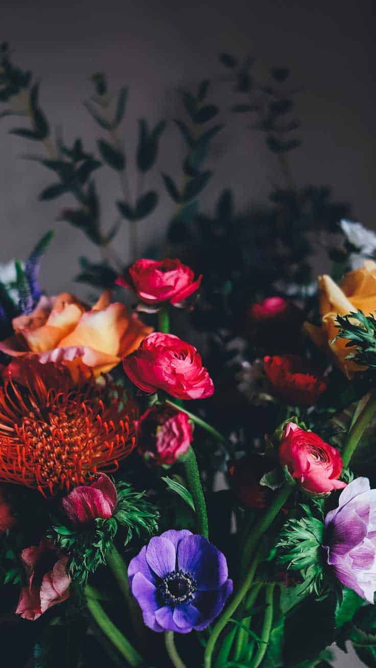 Spring Wallpaper for iPhone