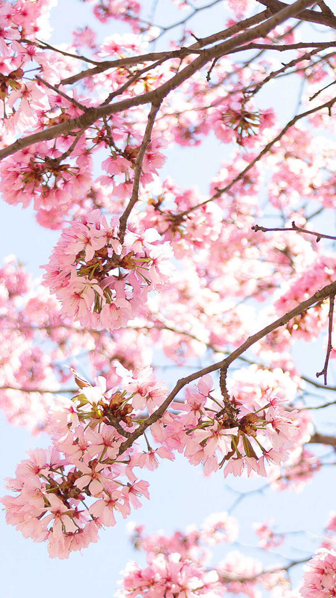 Spring Tech Background