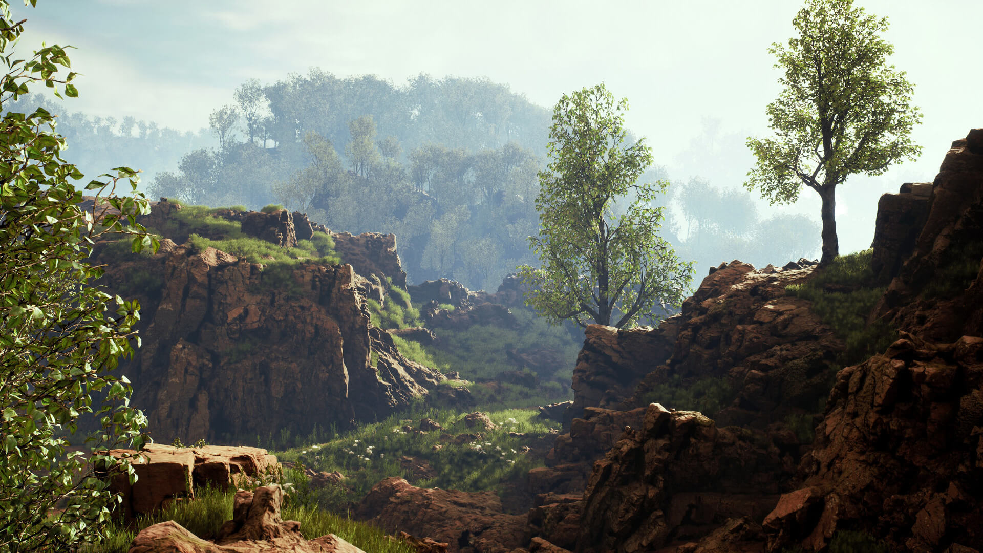 Rocky Valley 3D Wallpaper