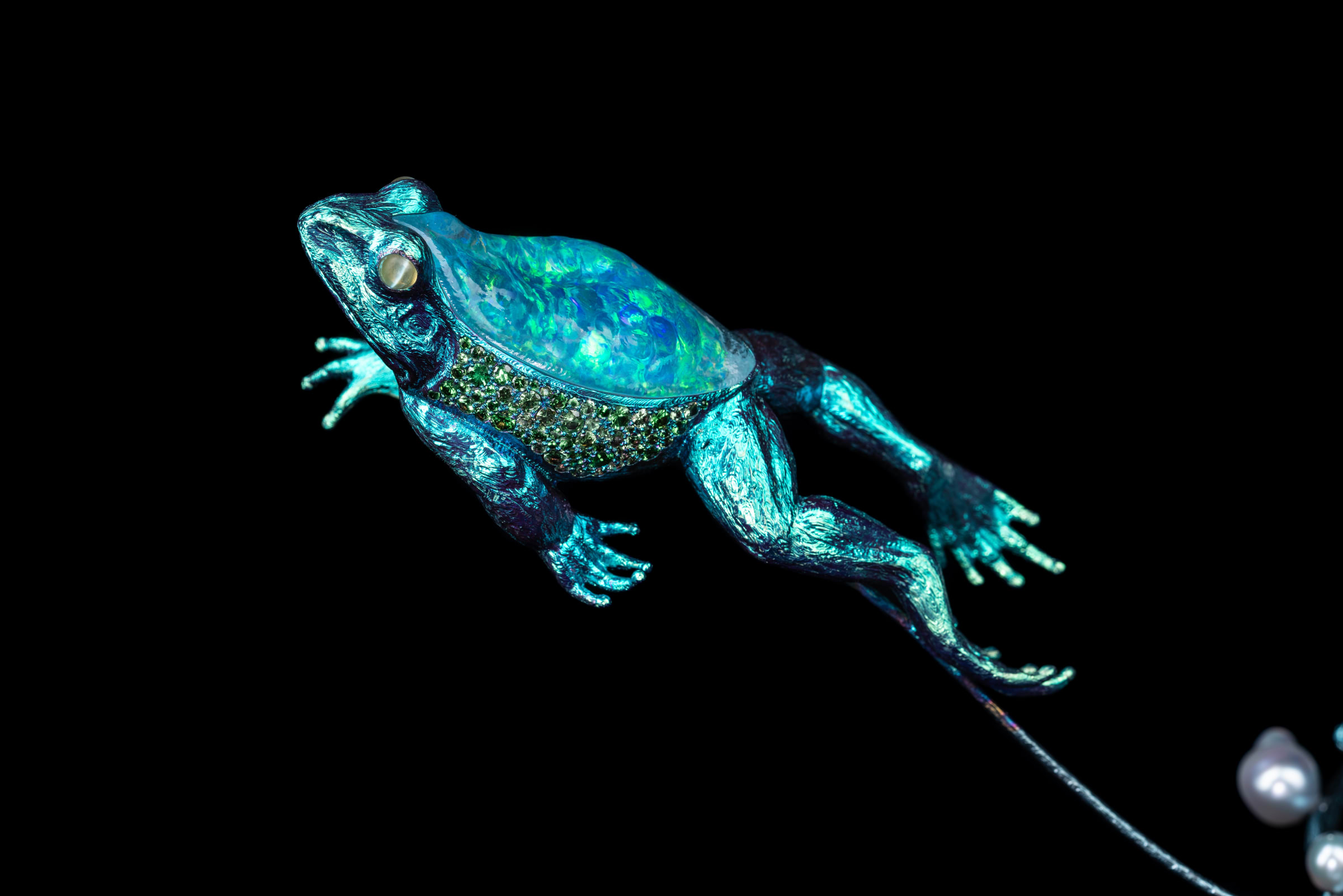 Wallace's Flying Frog, 2019