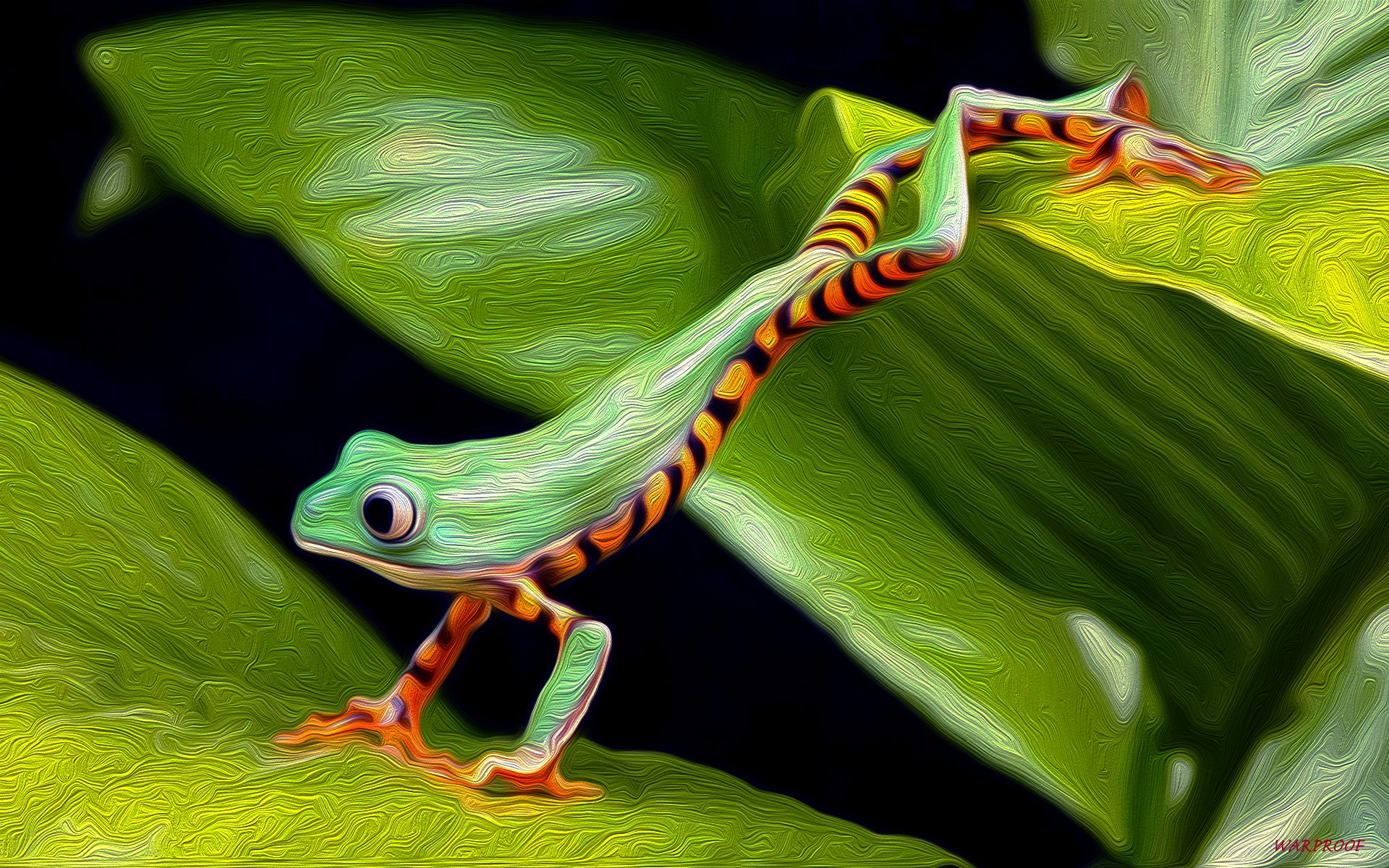 TIGER TREE FROG
