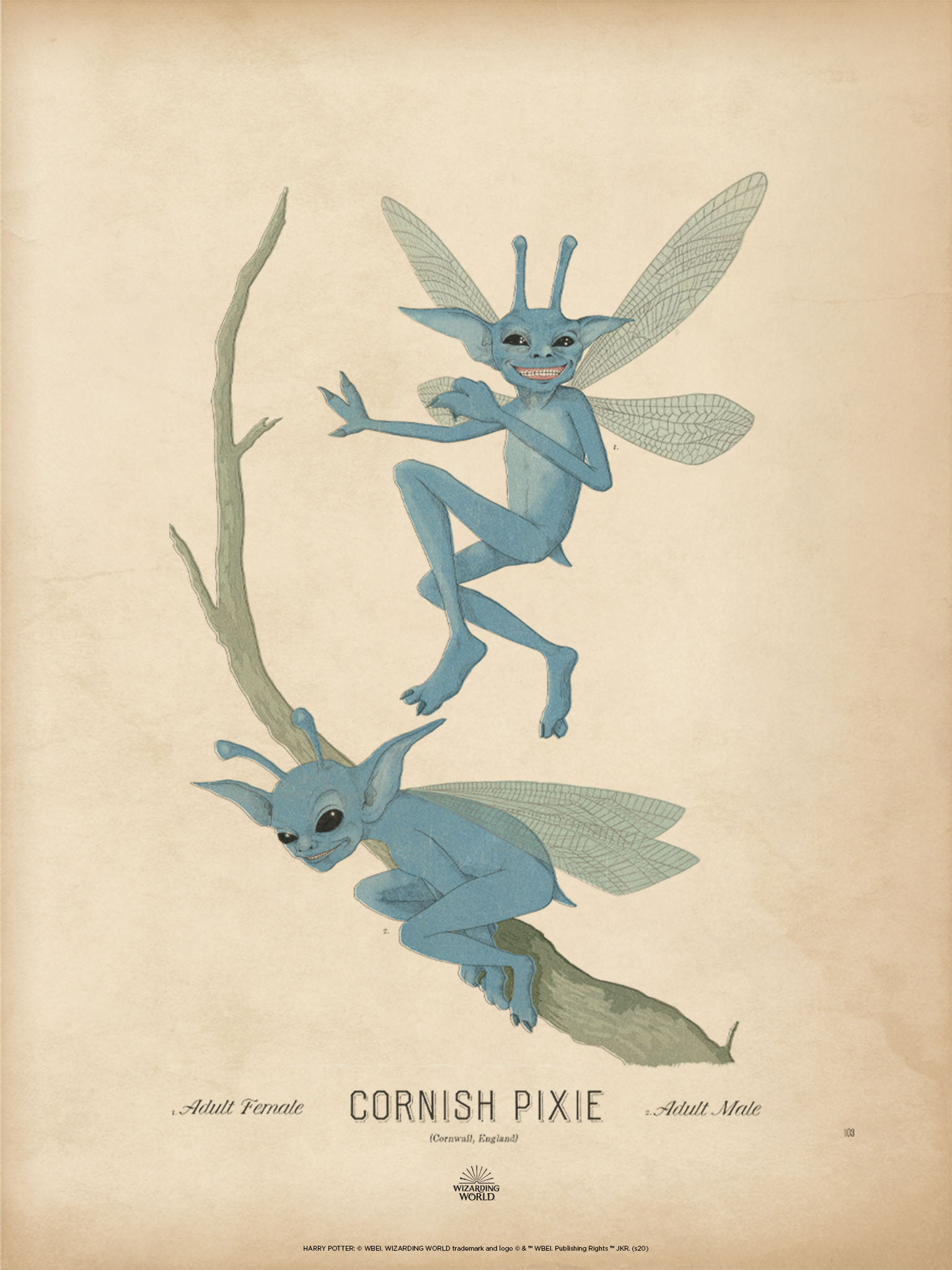 Download Hagrid's Magical Creatures