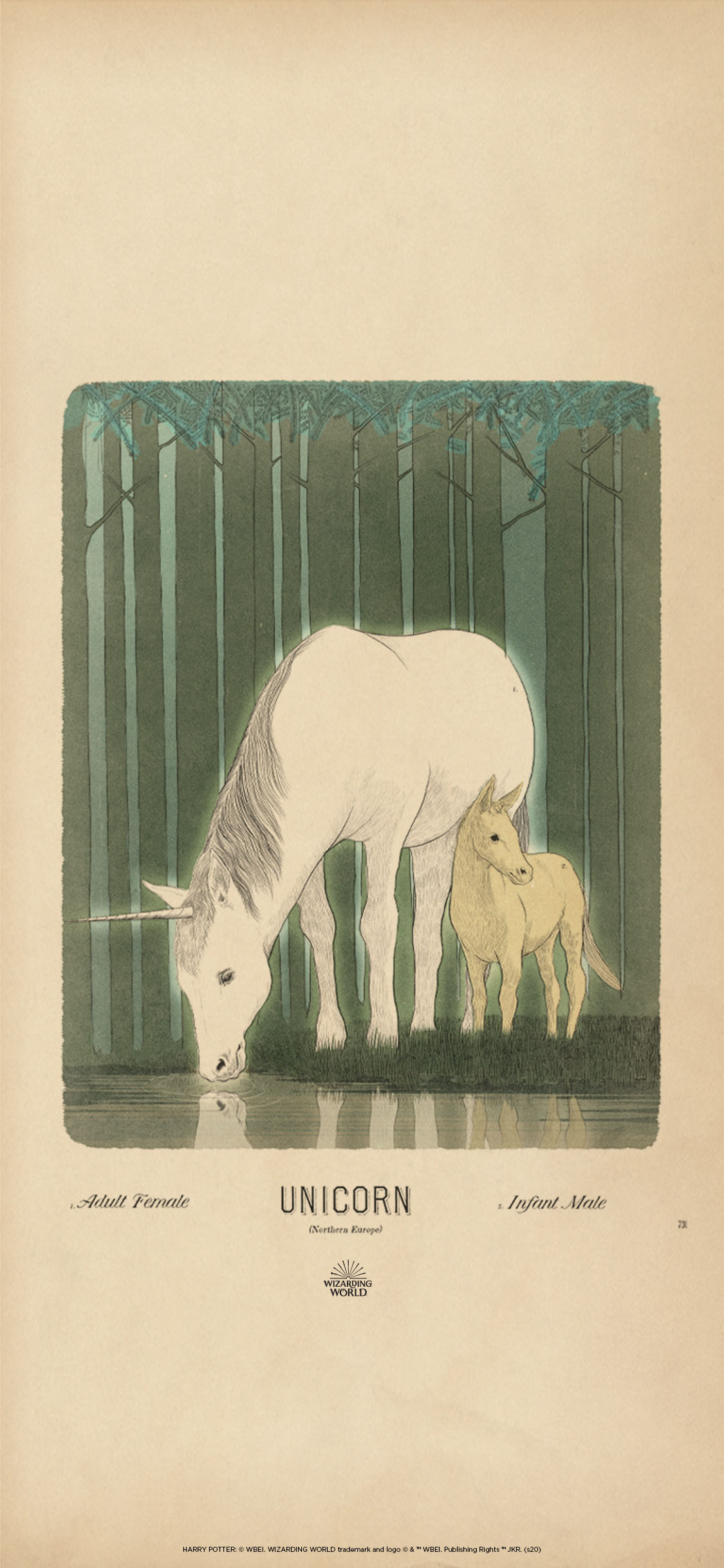 Download Hagrid's Magical Creatures