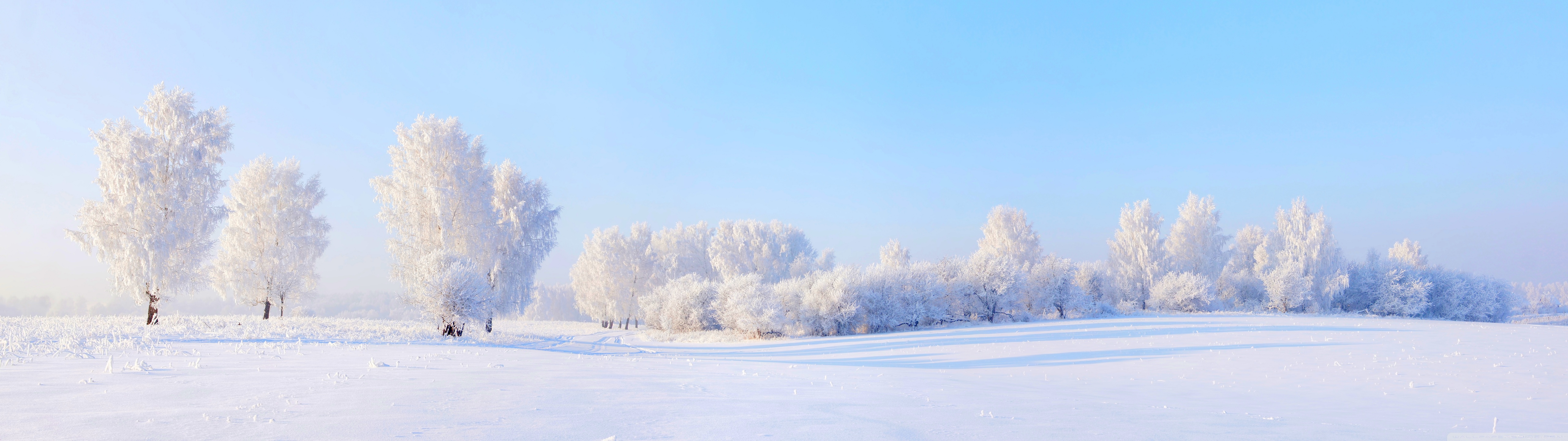 Winter Nature Landscape Panoramic View