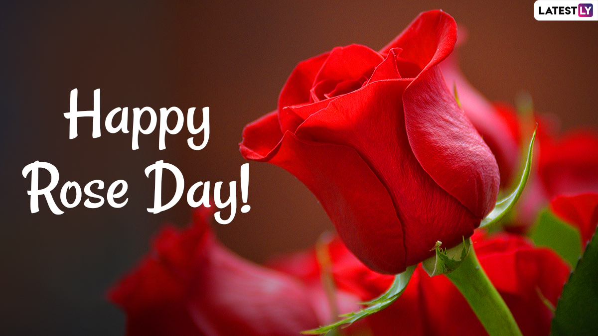 Happy Rose Day 2021 HD Image