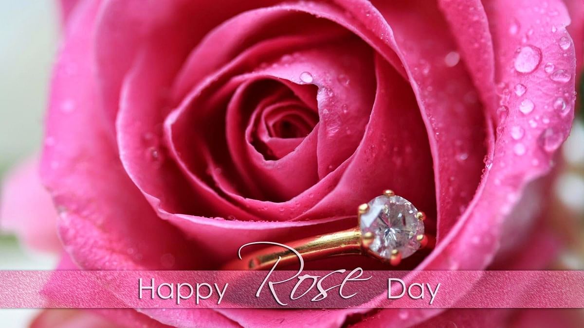 Happy Rose Day 2022: Wishes, Image