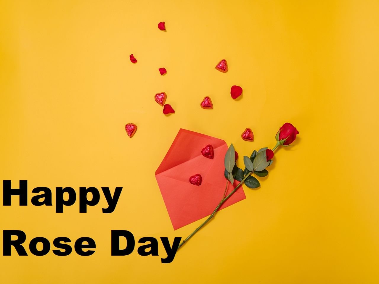 Happy Rose Day 2024 Wishes, Shayari