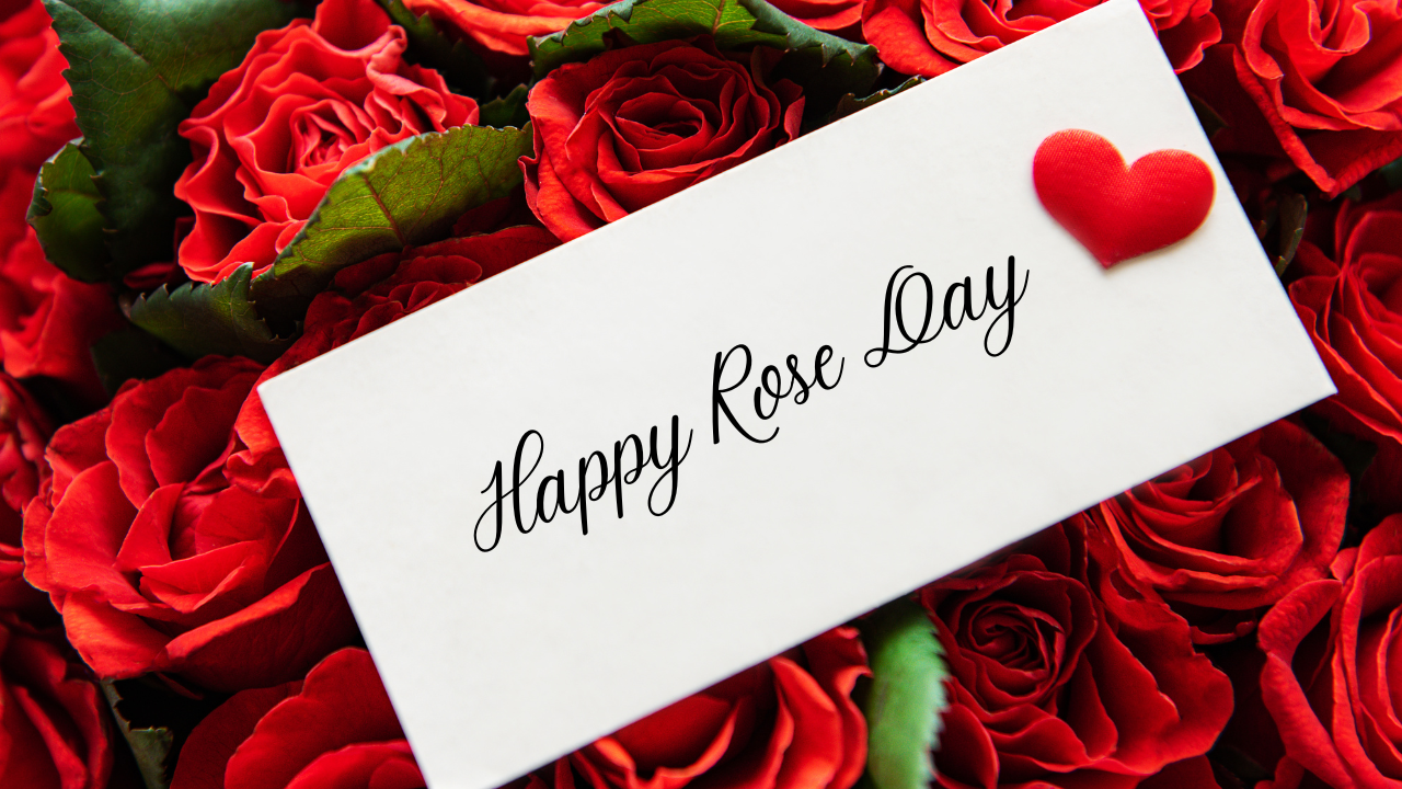 Happy Rose Day Wishes: Rose Day 2024