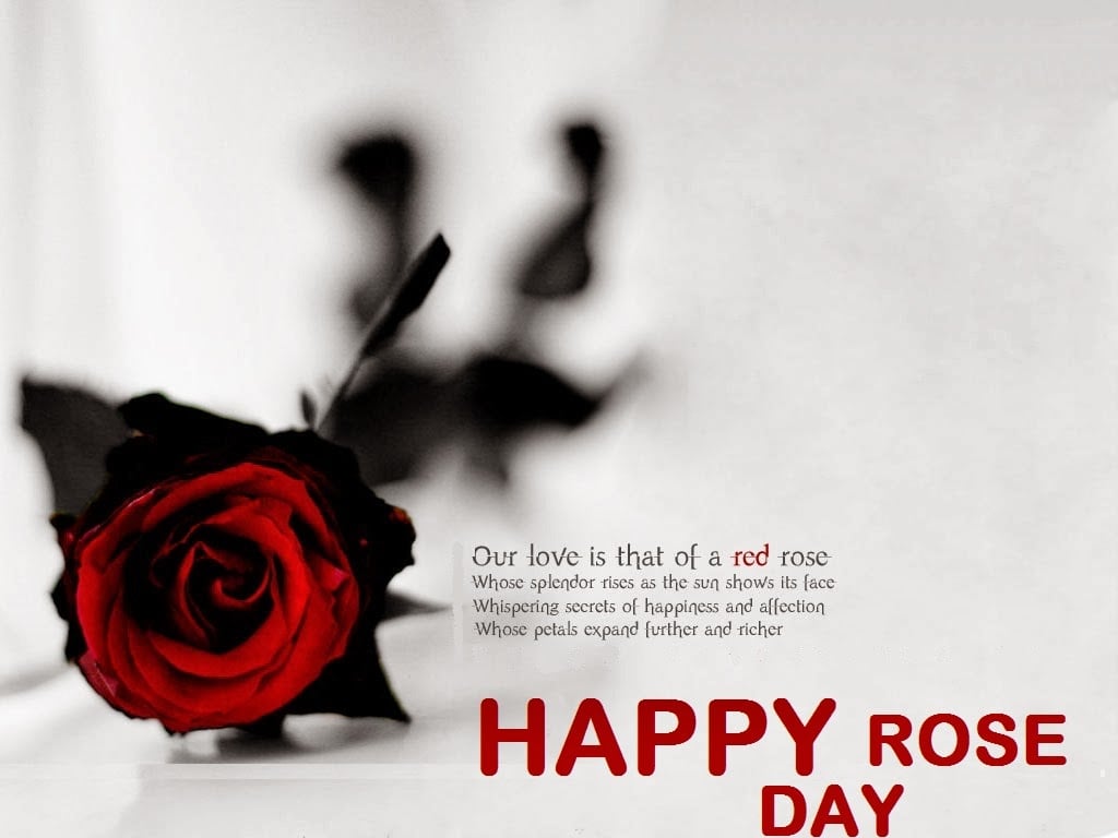 Happy Rose Day 7th February 2014