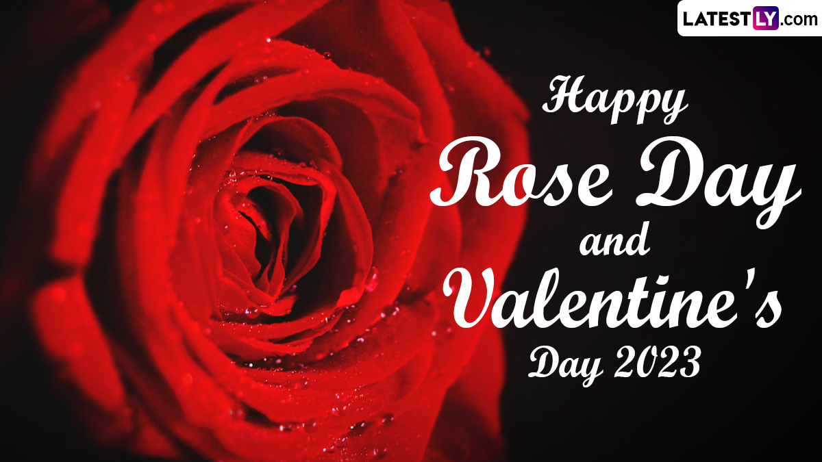 Wishes for Rose Day 2023