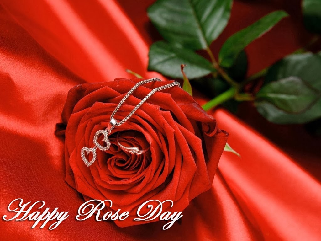 Rose Day HD Desktop Wallpaper 12734