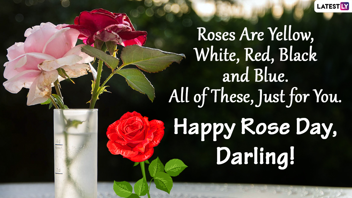 Happy Rose Day 2022 Greetings: Send
