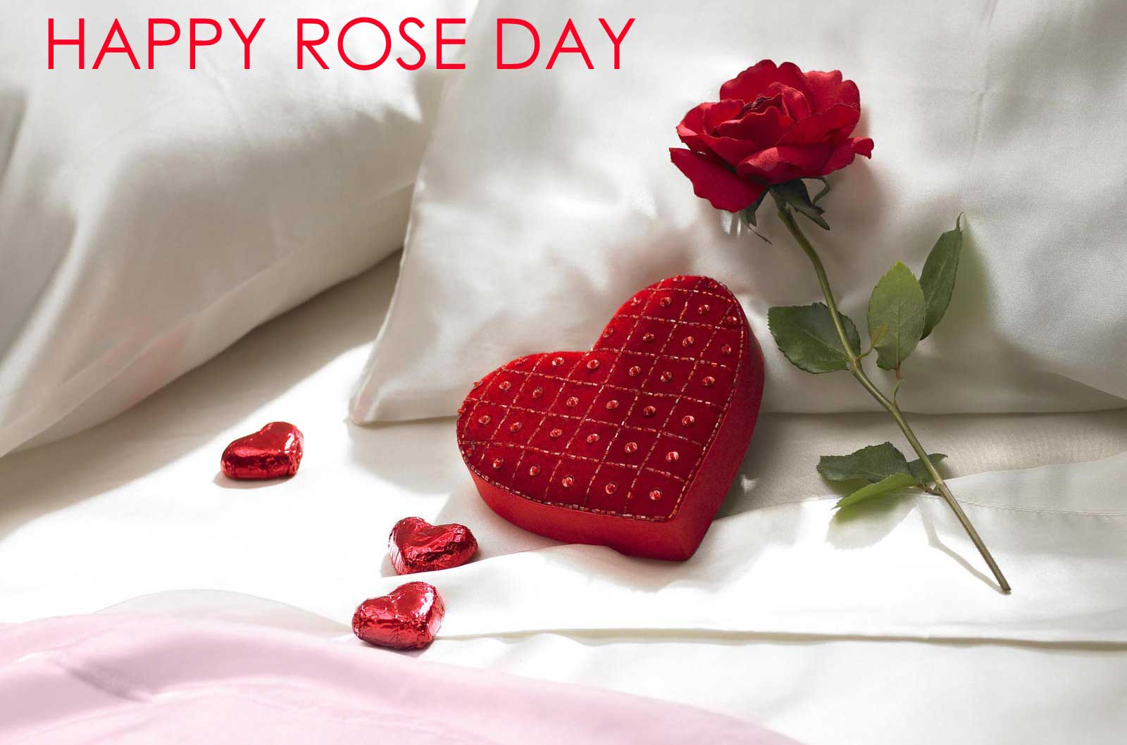 Happy Rose Day 2024 HD wallpaper