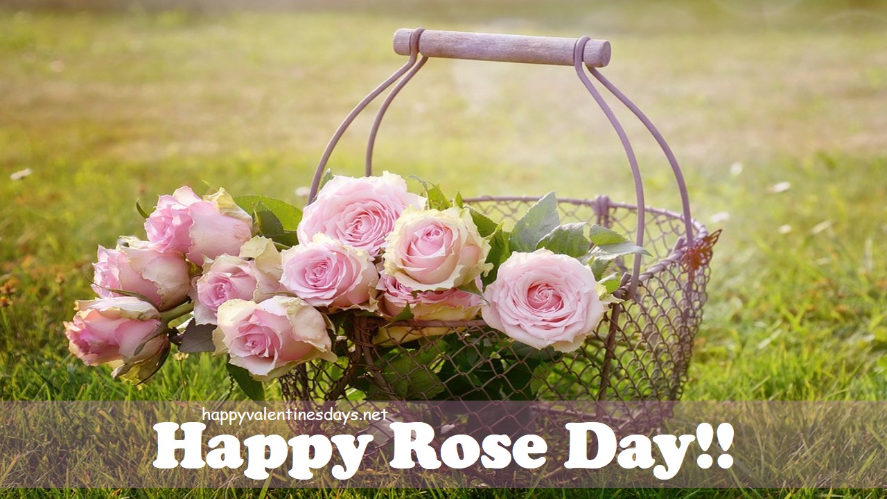 Happy Rose Day 2021 Wishes Image Pics