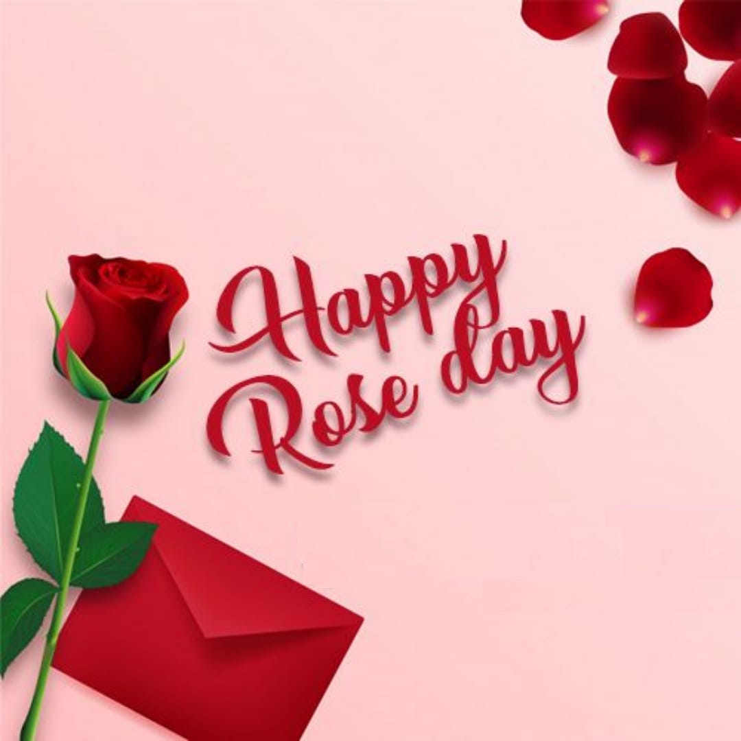 Happy Rose Day [currentyear] Image