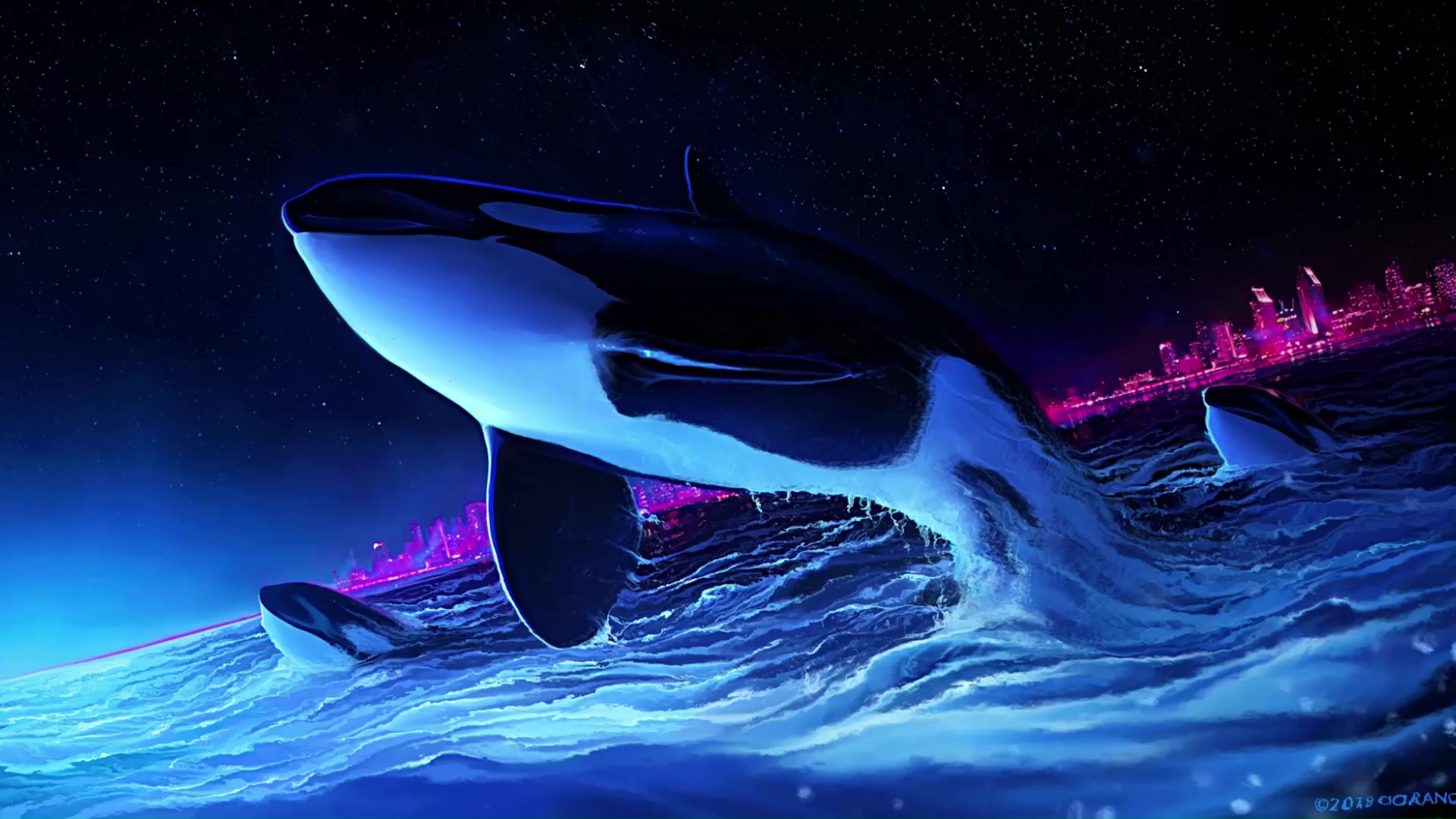 Dolphin Night Orca Whale Live Wallpaper