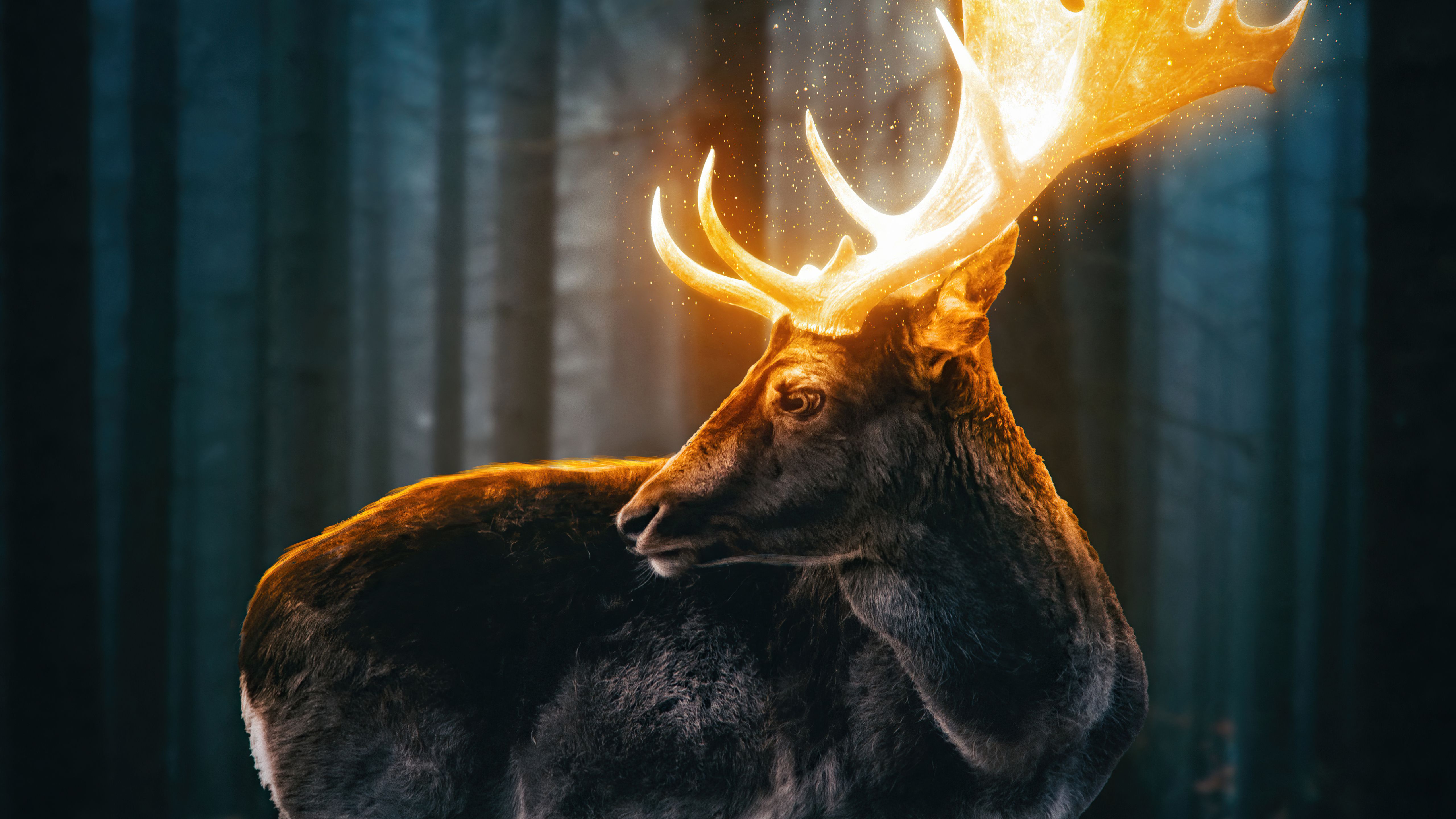 Magical Reindeer Forest 4k Magical