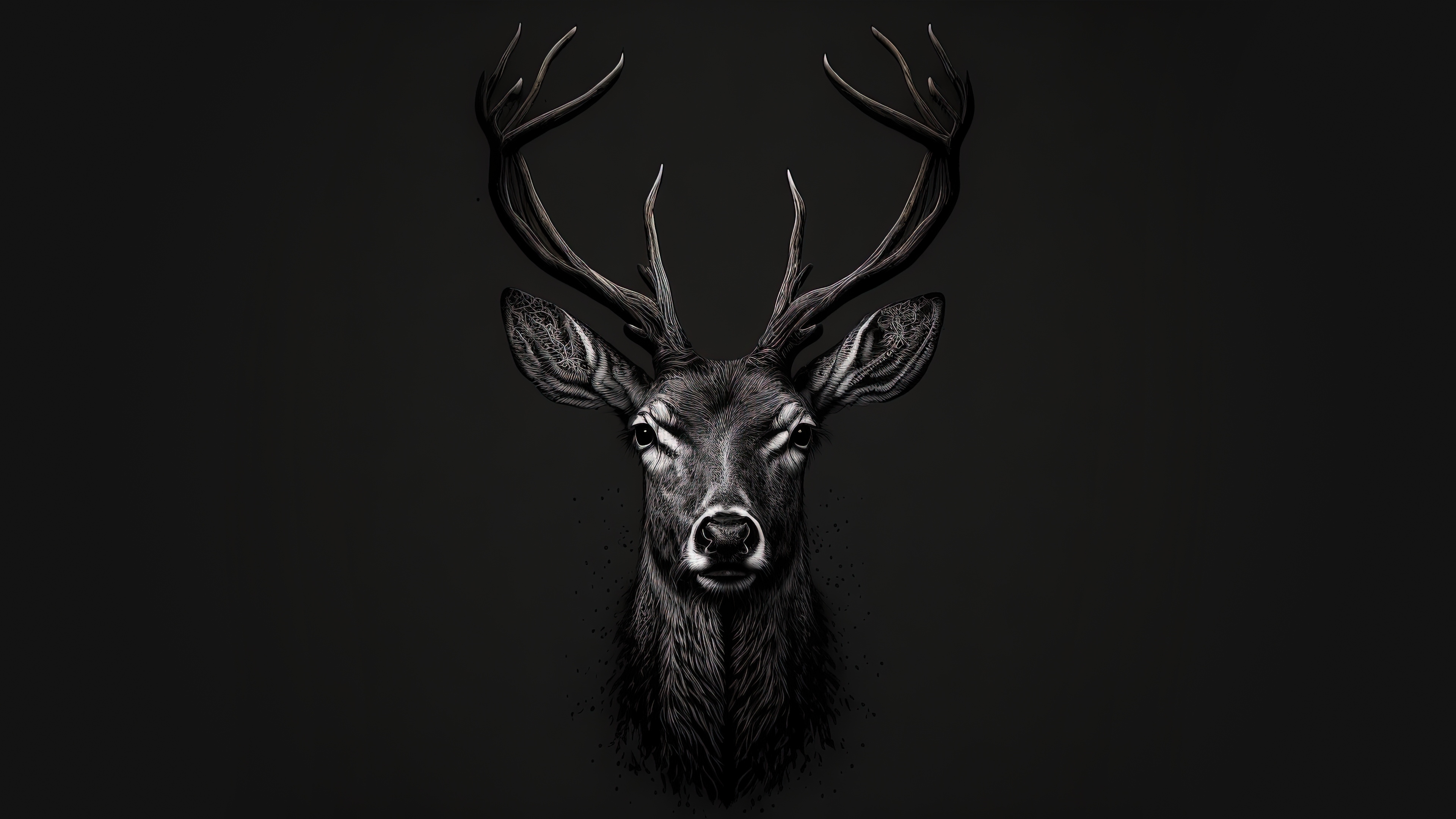 Download wallpaper 3840x2160 bw, deer