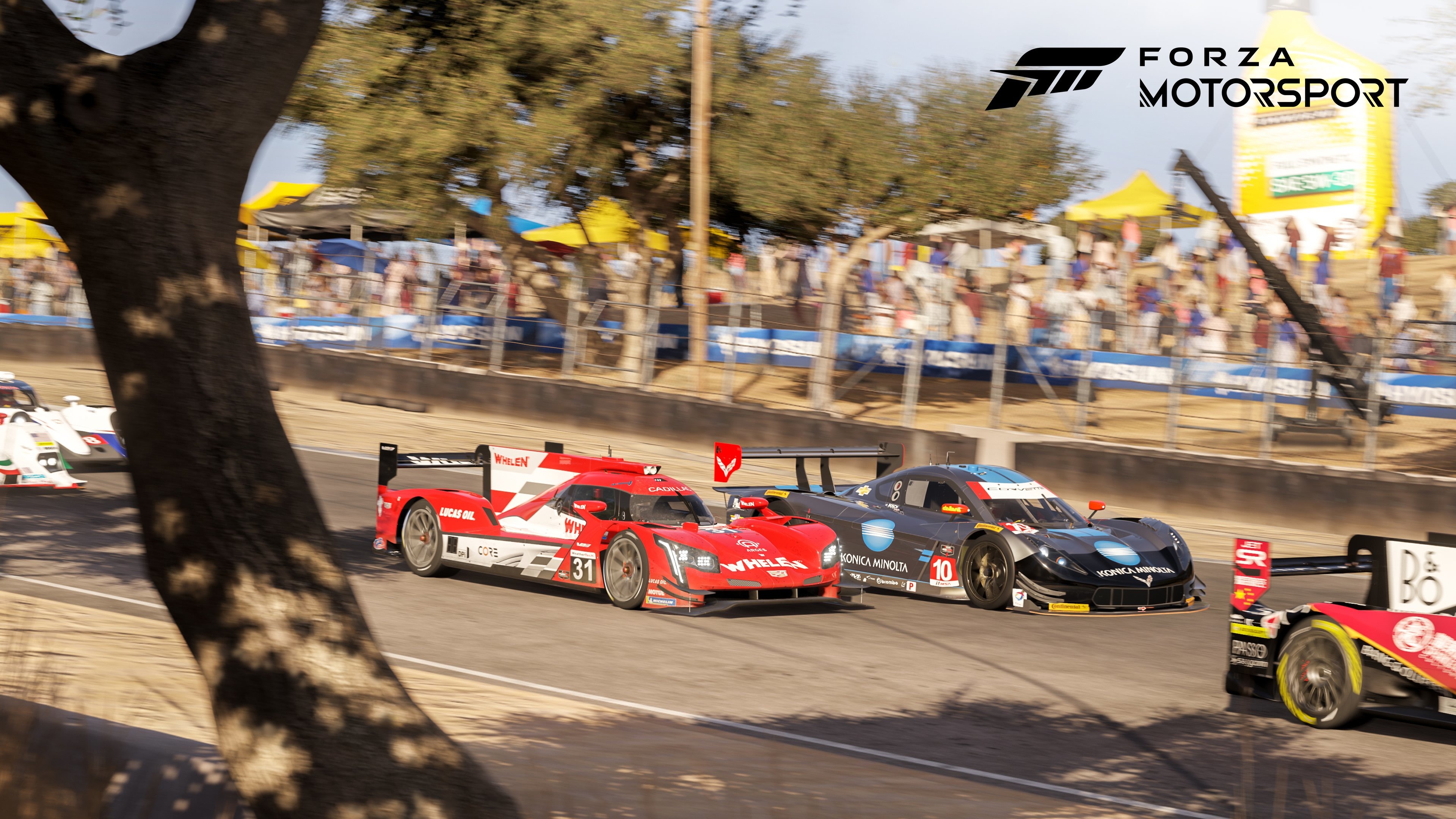 Download Video Game Forza Motorsport