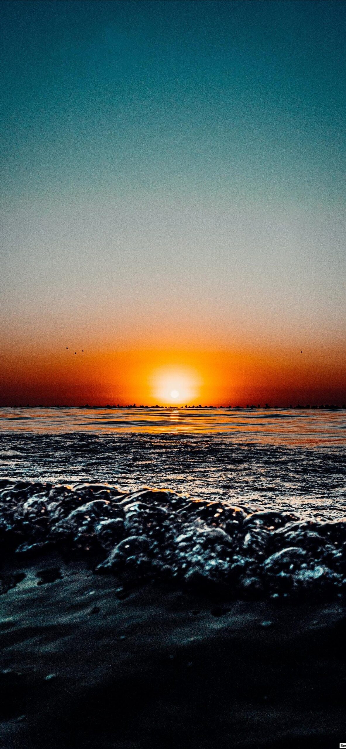 IPhone 14 Pro Max Summer HD Wallpaper