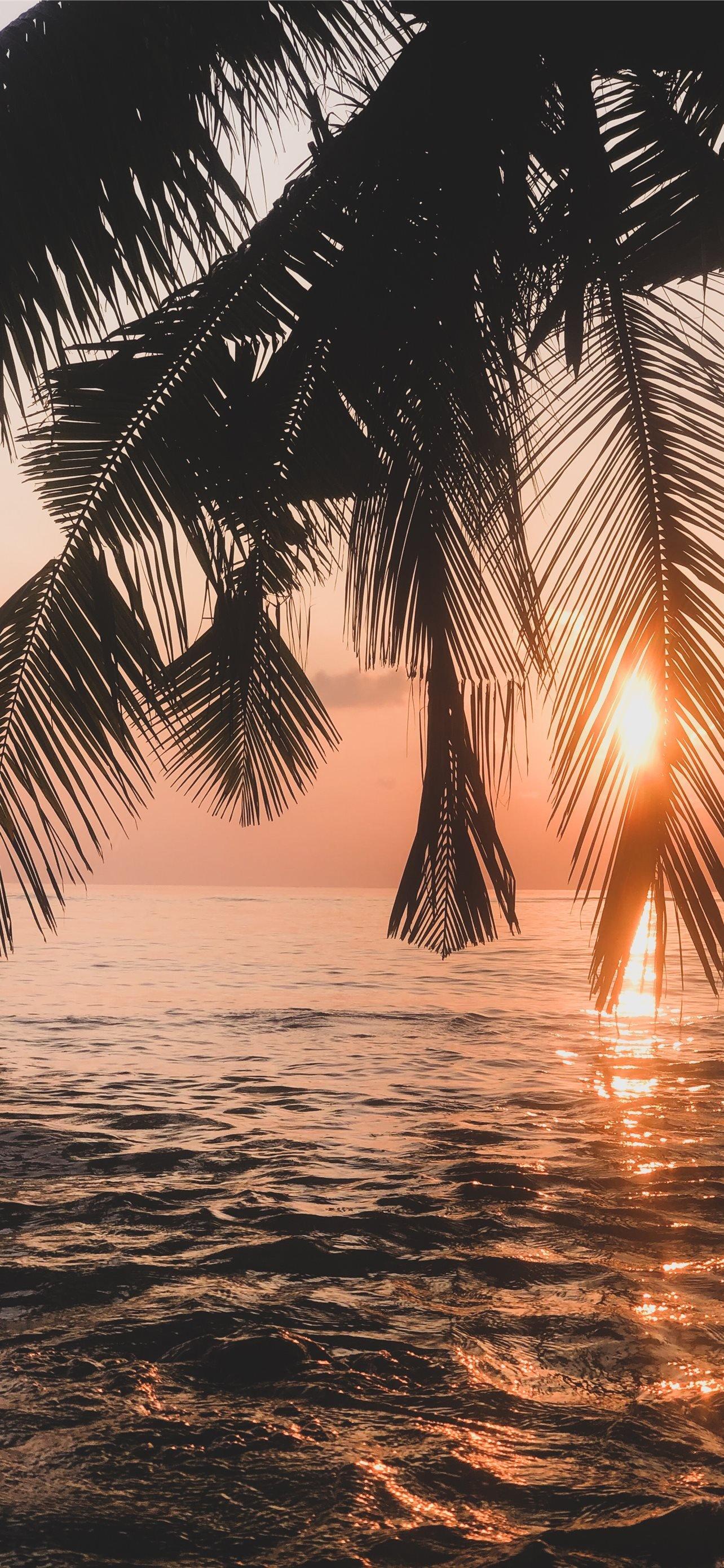 IPhone 14 Pro Max Summer Pc Wallpaper
