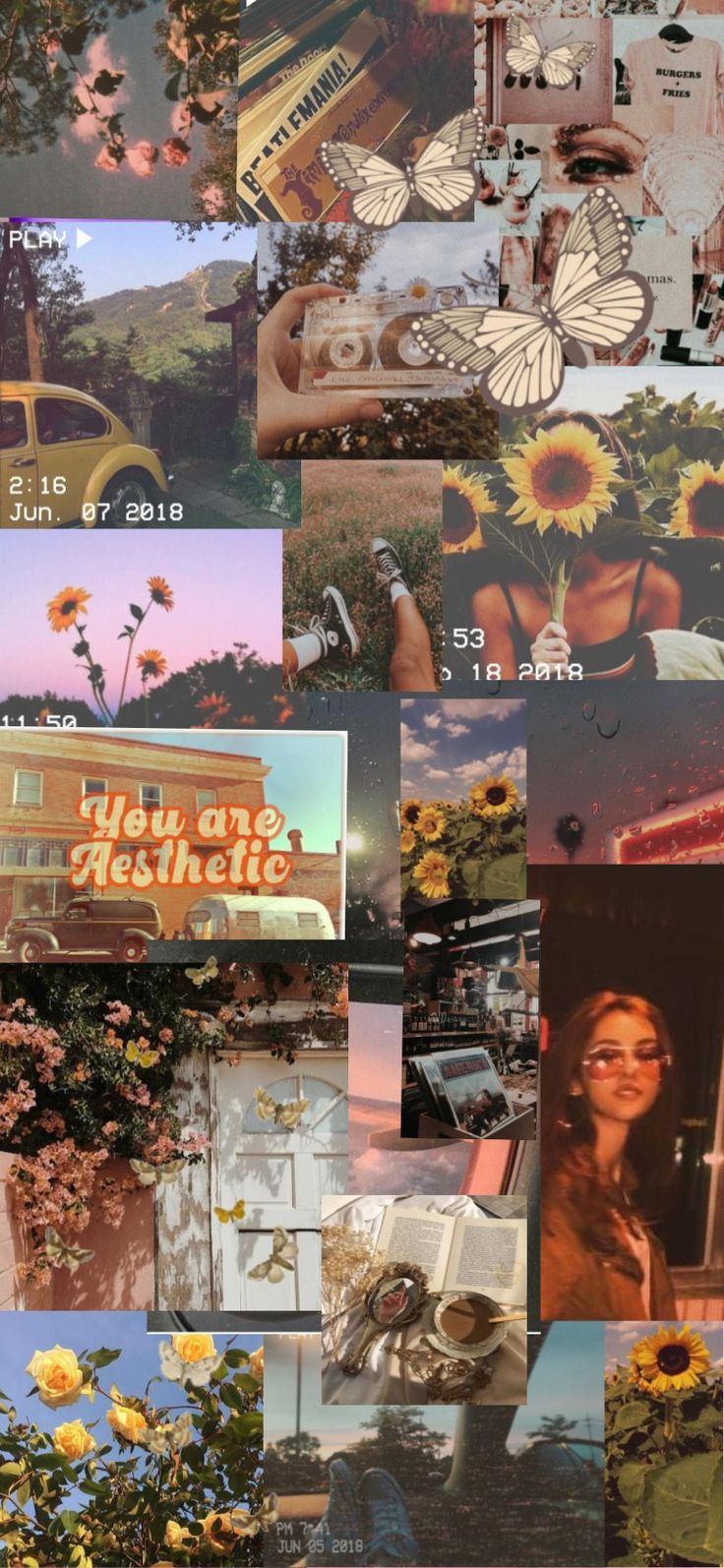 Vintage Aesthetic Collage Wallpaper