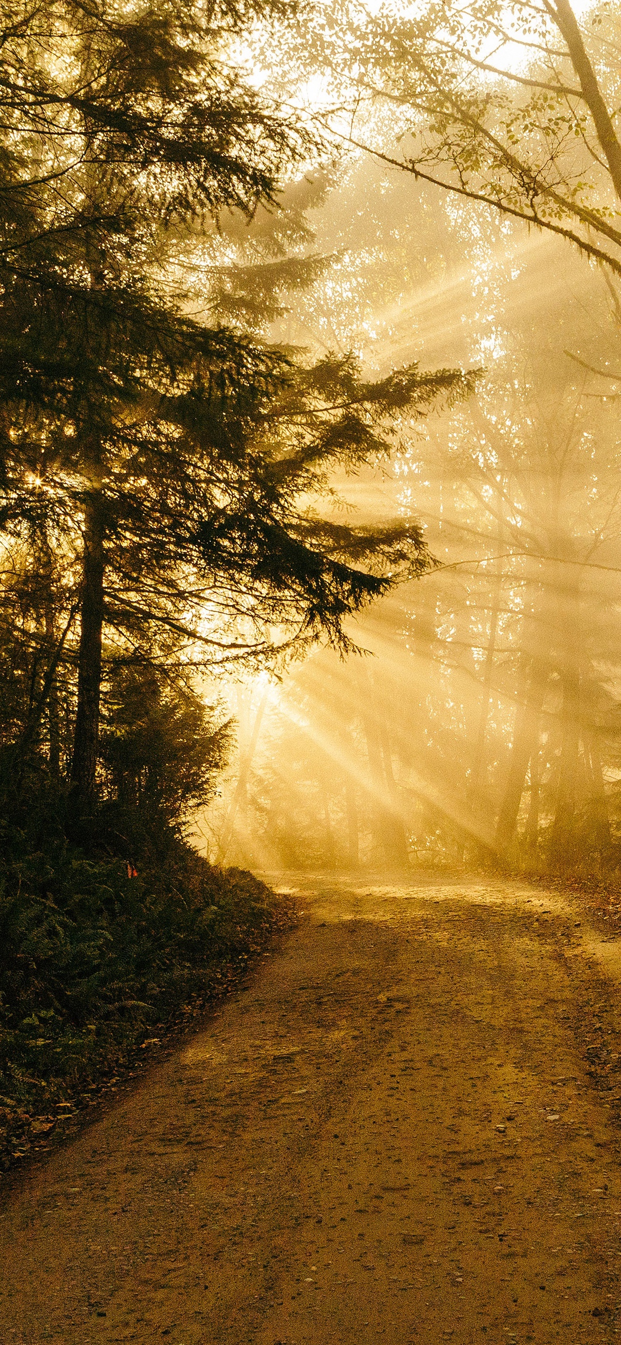 Gold Inspired Wallpaper For IPad