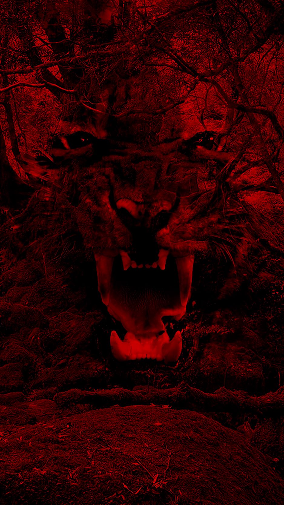 wallpaper 938x1668 tiger, jaws, fangs