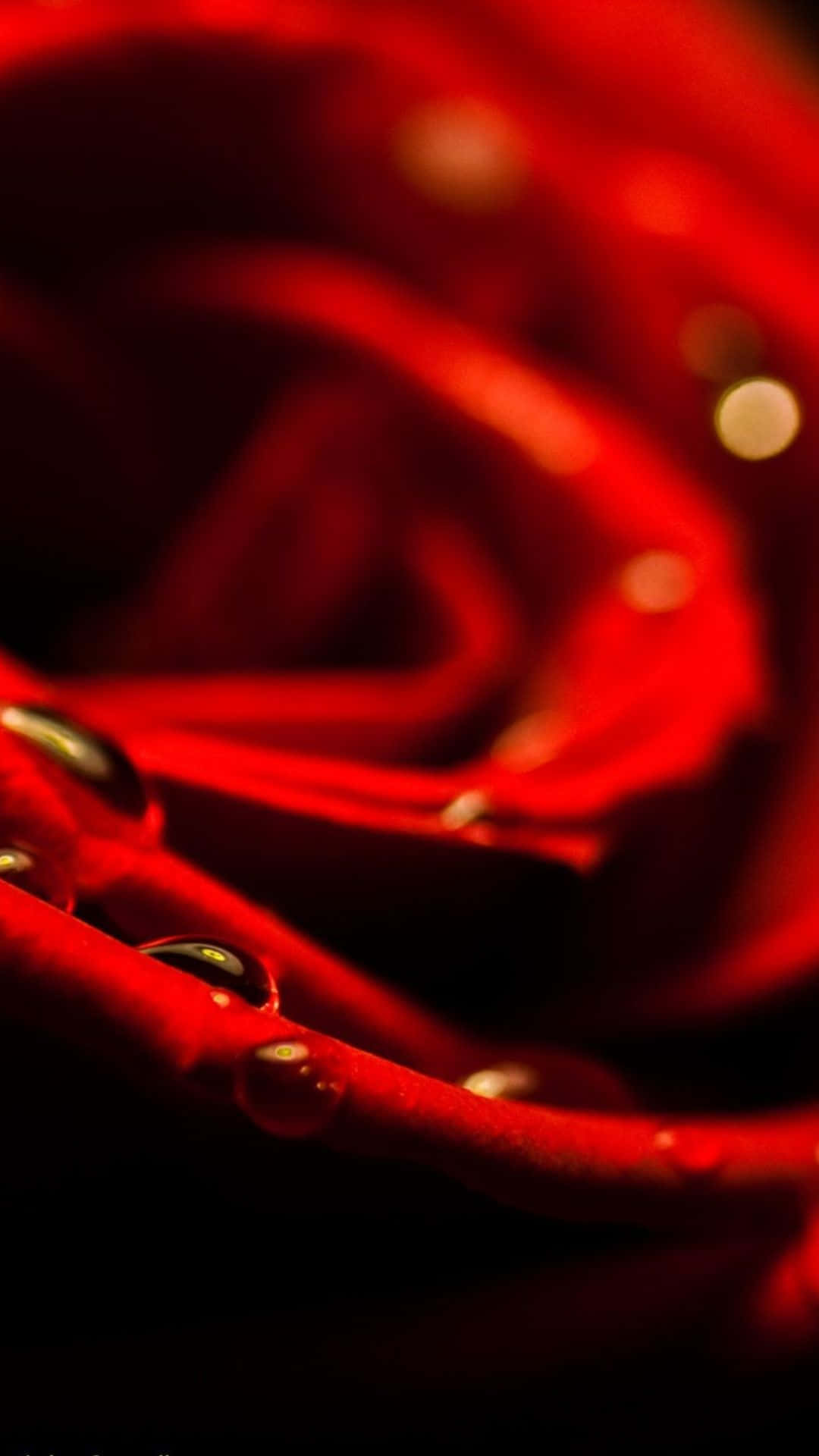 iPhone 8 Plus Wallpaper