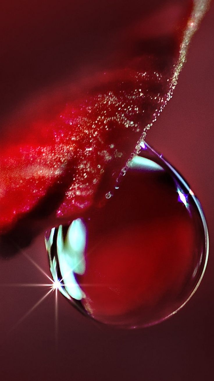 Flower red droplet water iPhone 8