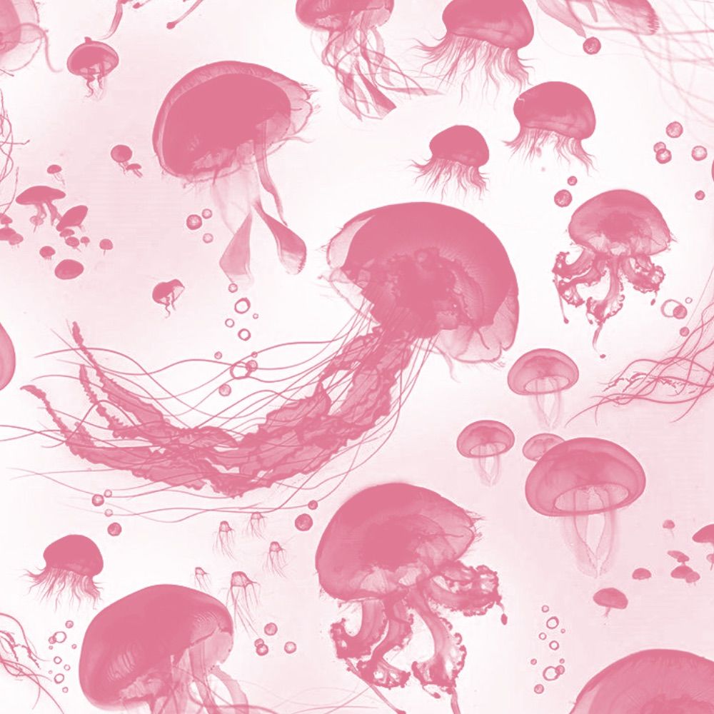 Pink Jellyfish Wallpapers - Wallpaper Cave