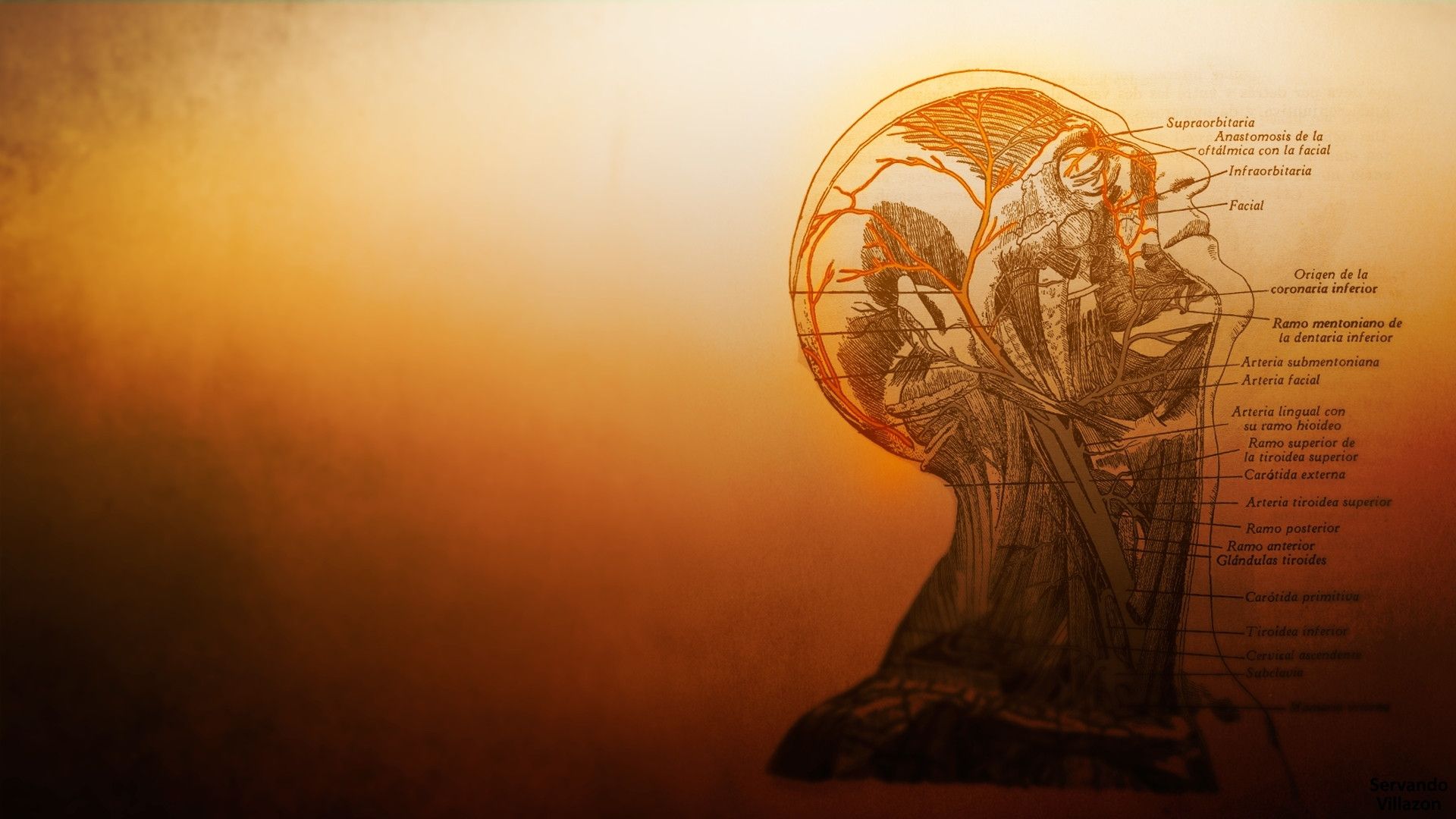 Hd Medical Wallpaper