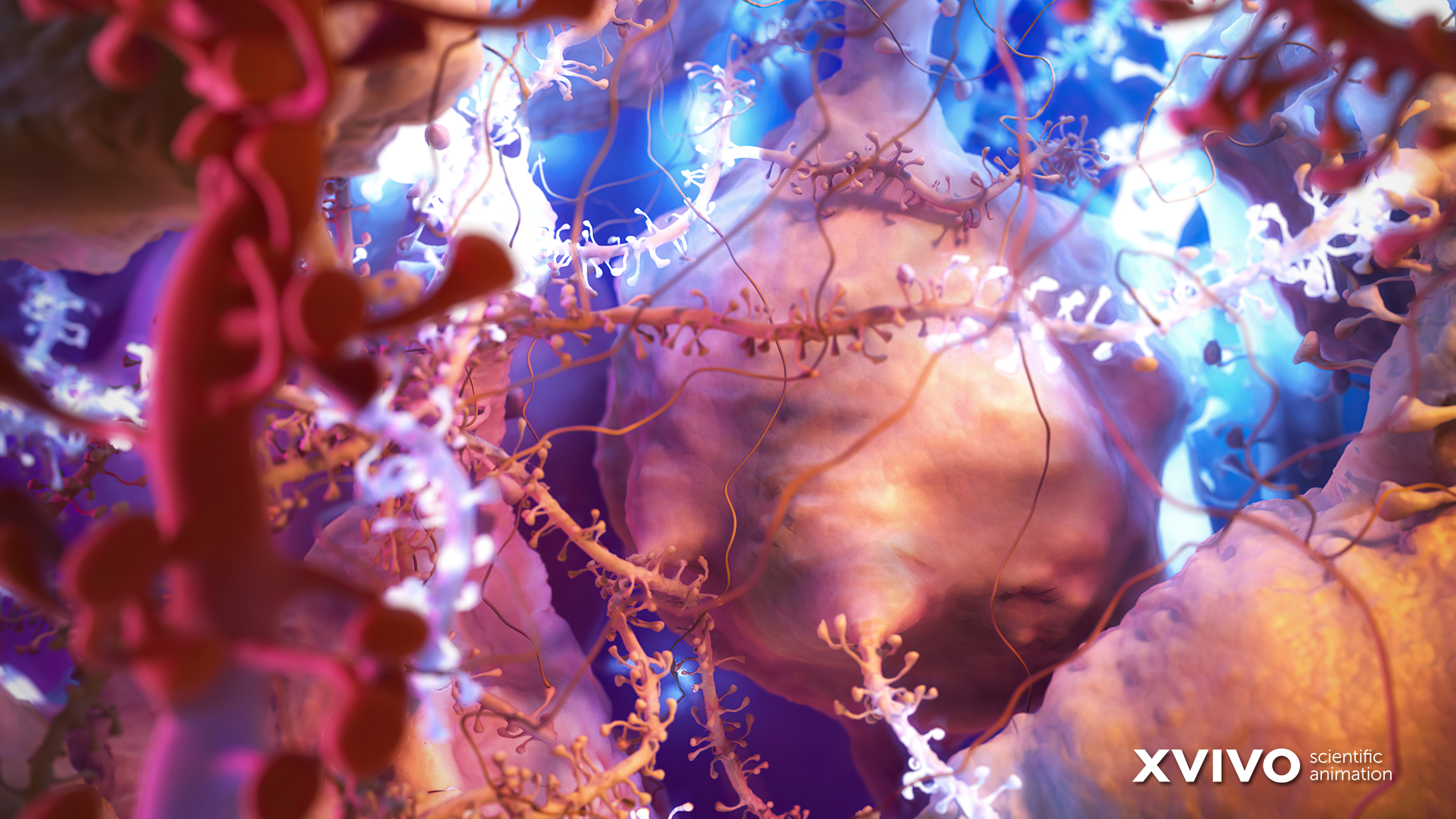 Medical Wallpaper. Beautiful Free